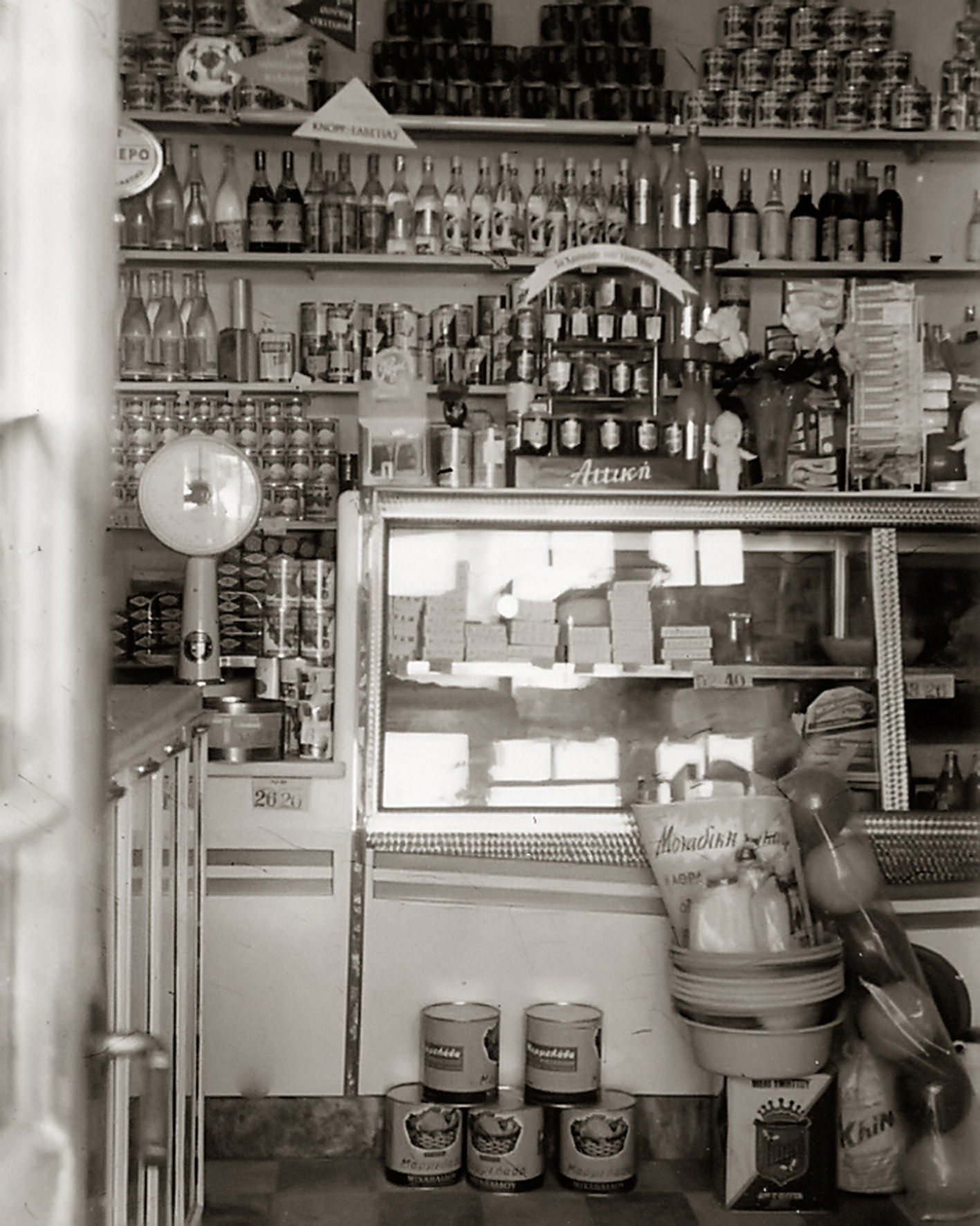 Ο μπακαλόγατος 