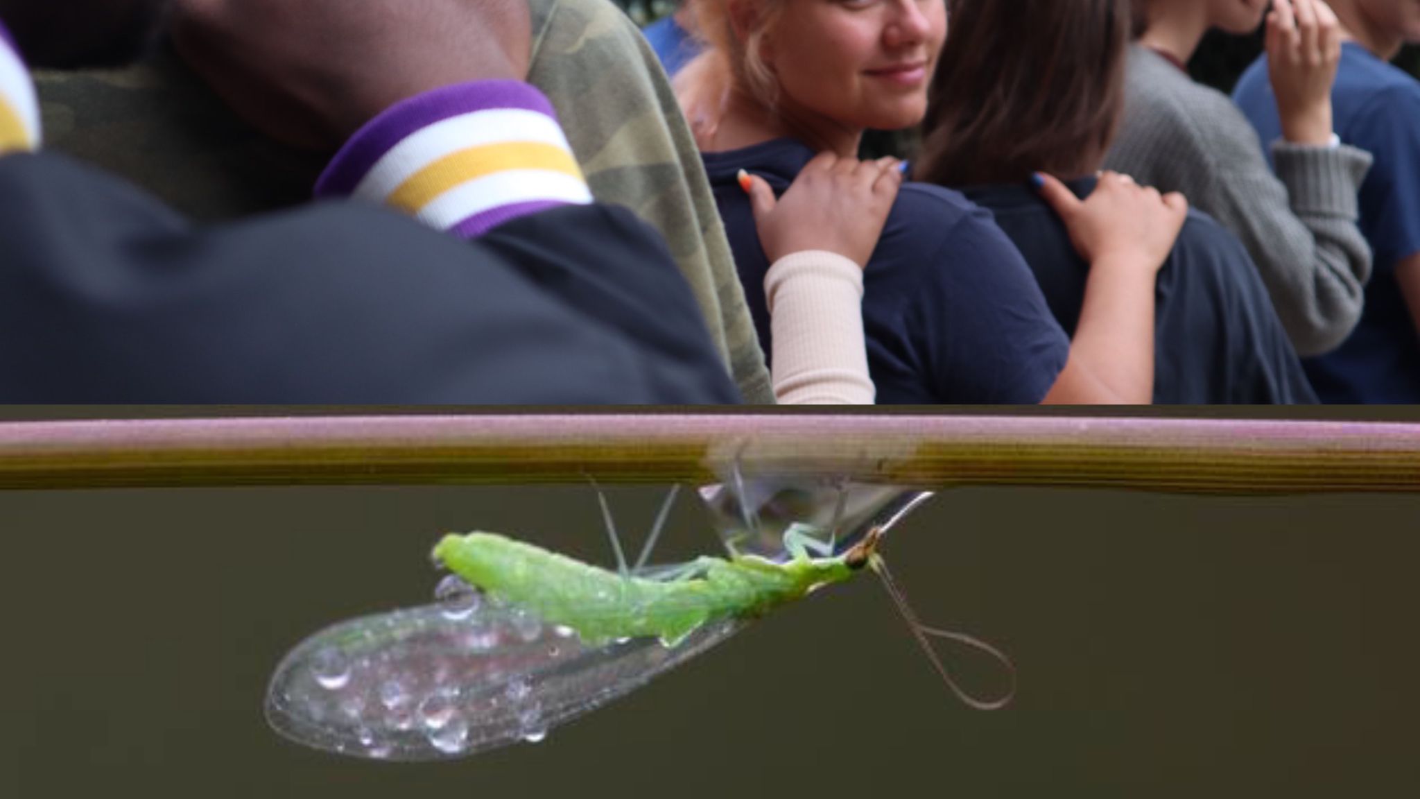 Goccia per Goccia - 2023