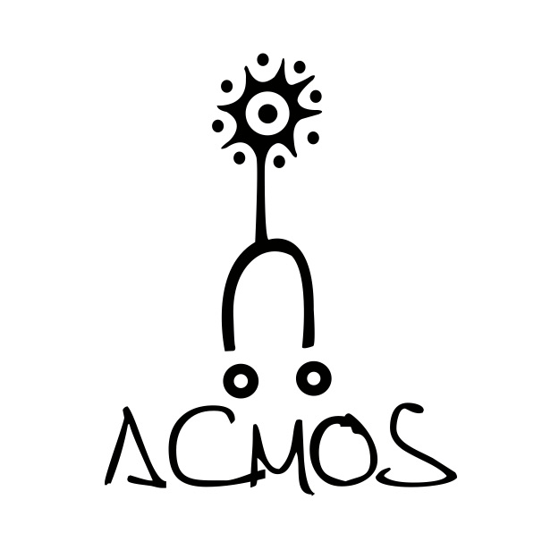 ACMOS Aggregazione, Coscientizzazione, MOvimentazione Sociale)