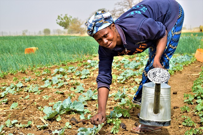 Microimprenditoria Femminile - AICS