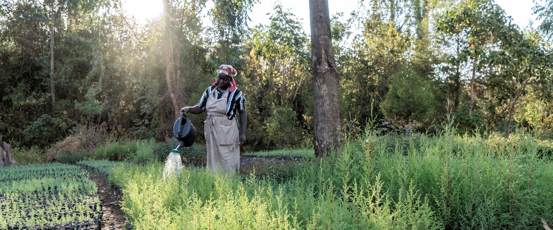 Agrichange: PICCOLE IMPRESE, GRANDI OPPORTUNITÀ 