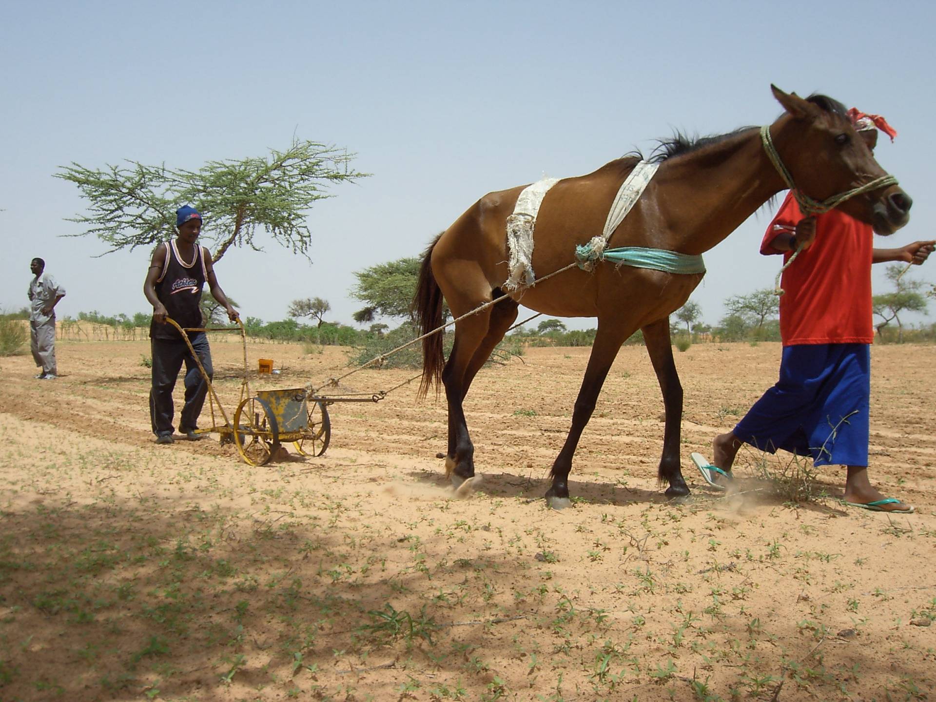 La mia esperienza in Senegal con il progetto UNI.COO