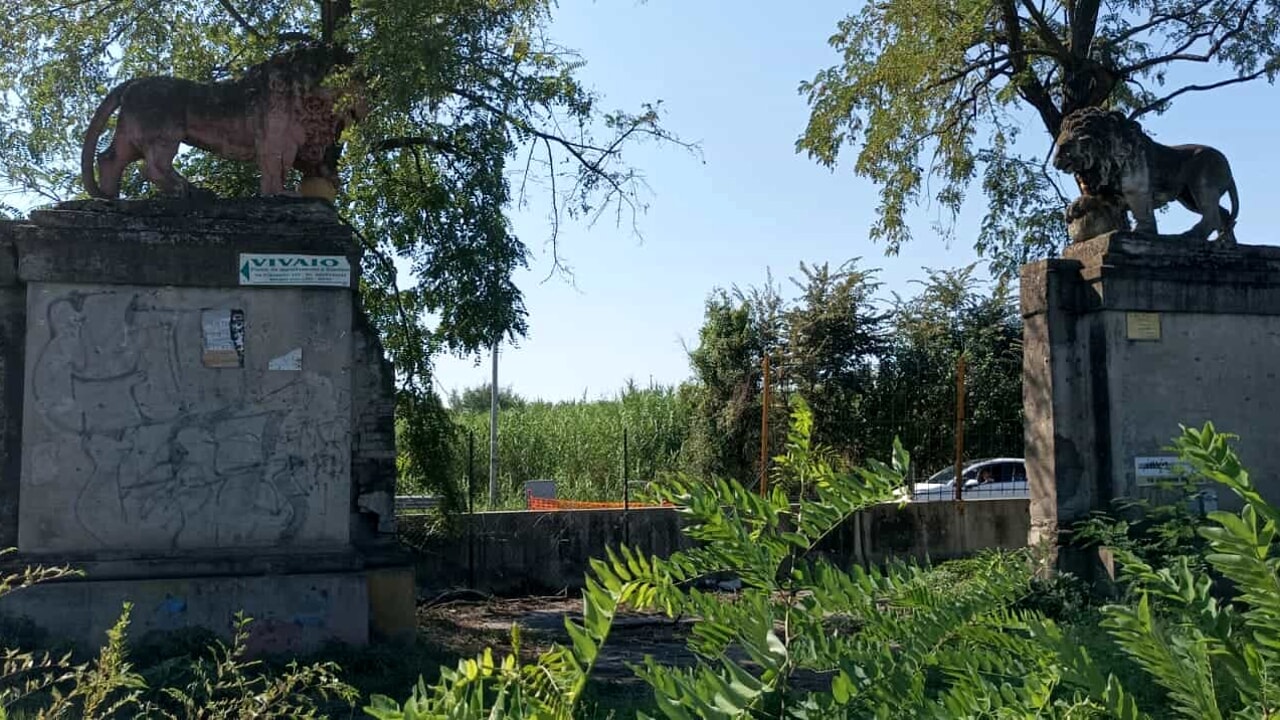 Racconto il mio quartiere