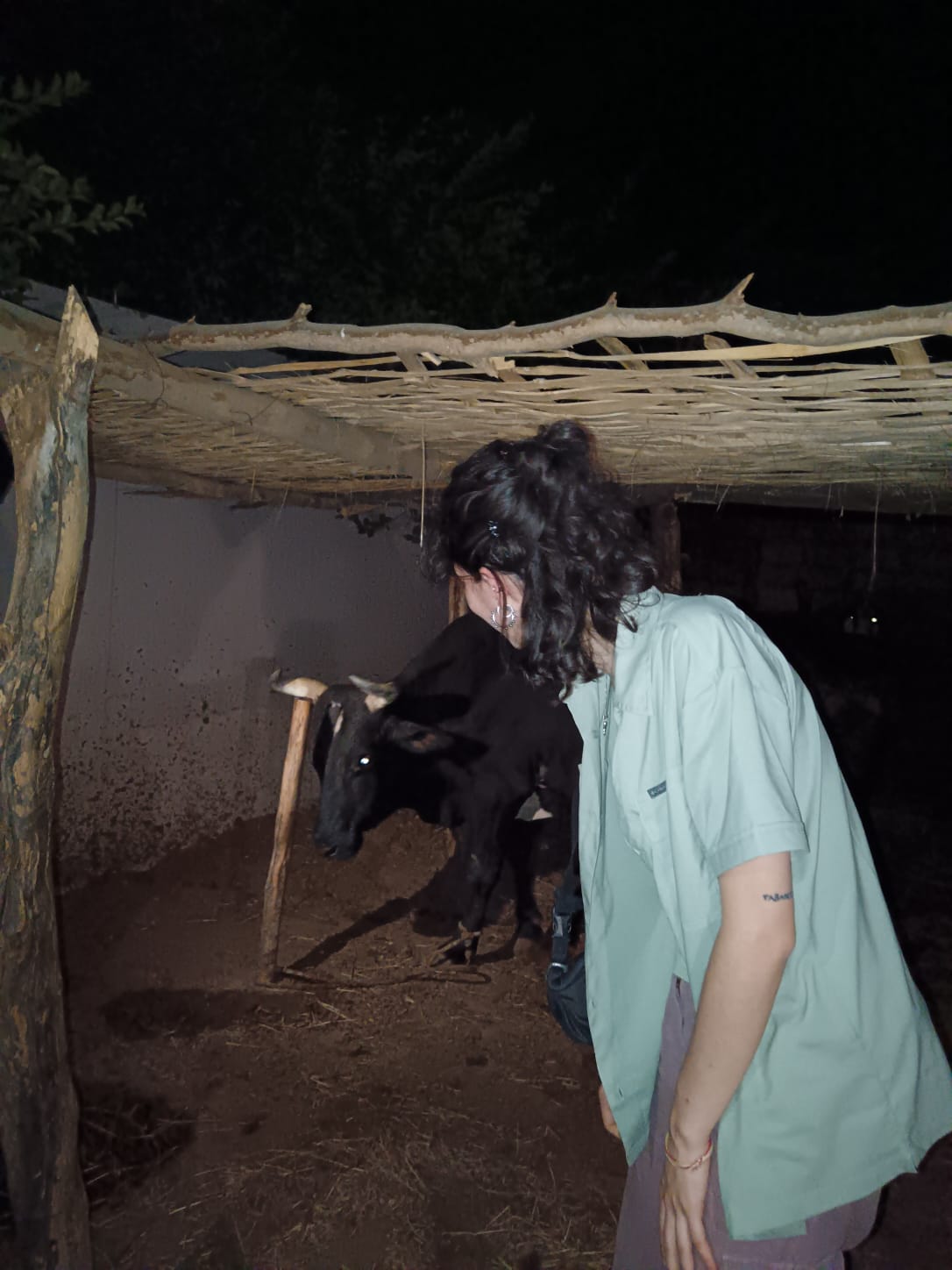 È pronto in...terra!