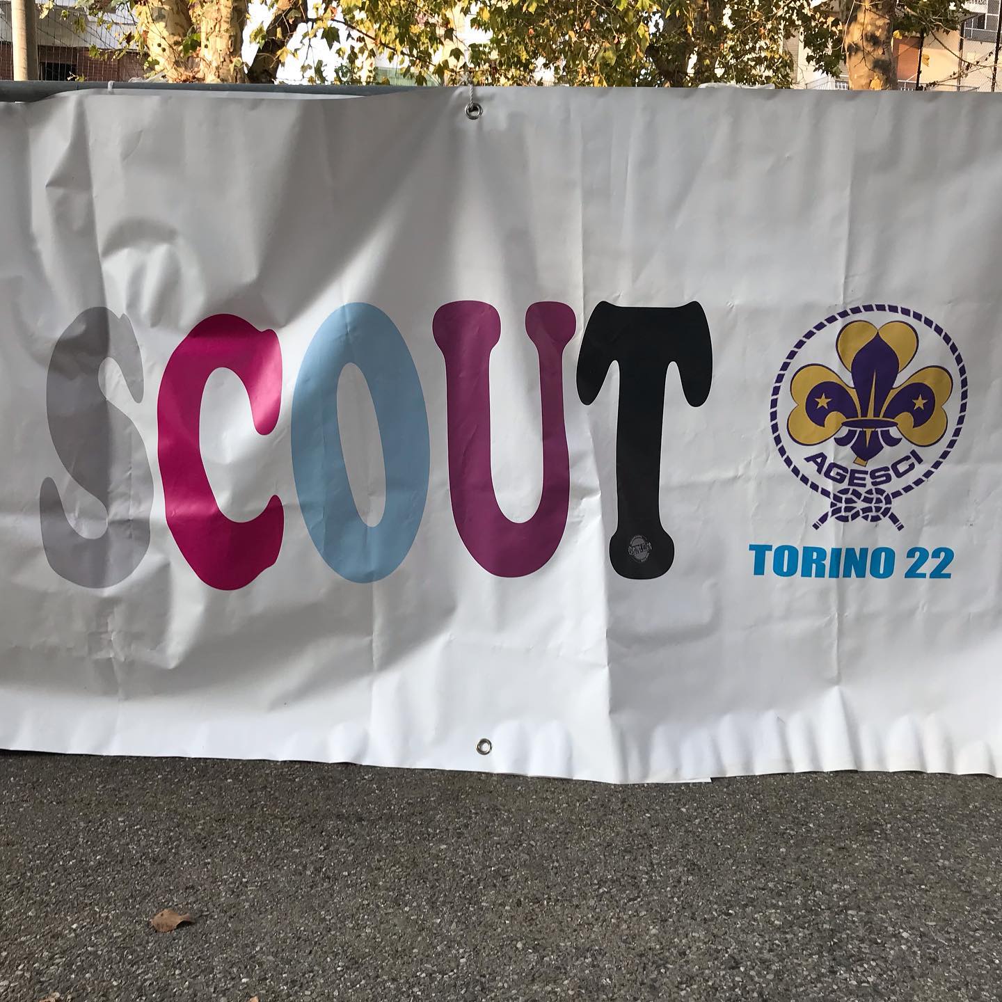 Torino 22 - Scout