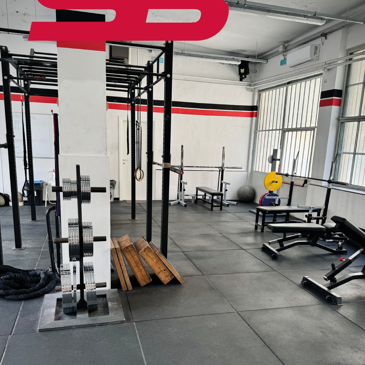 Palestra Solid Base 