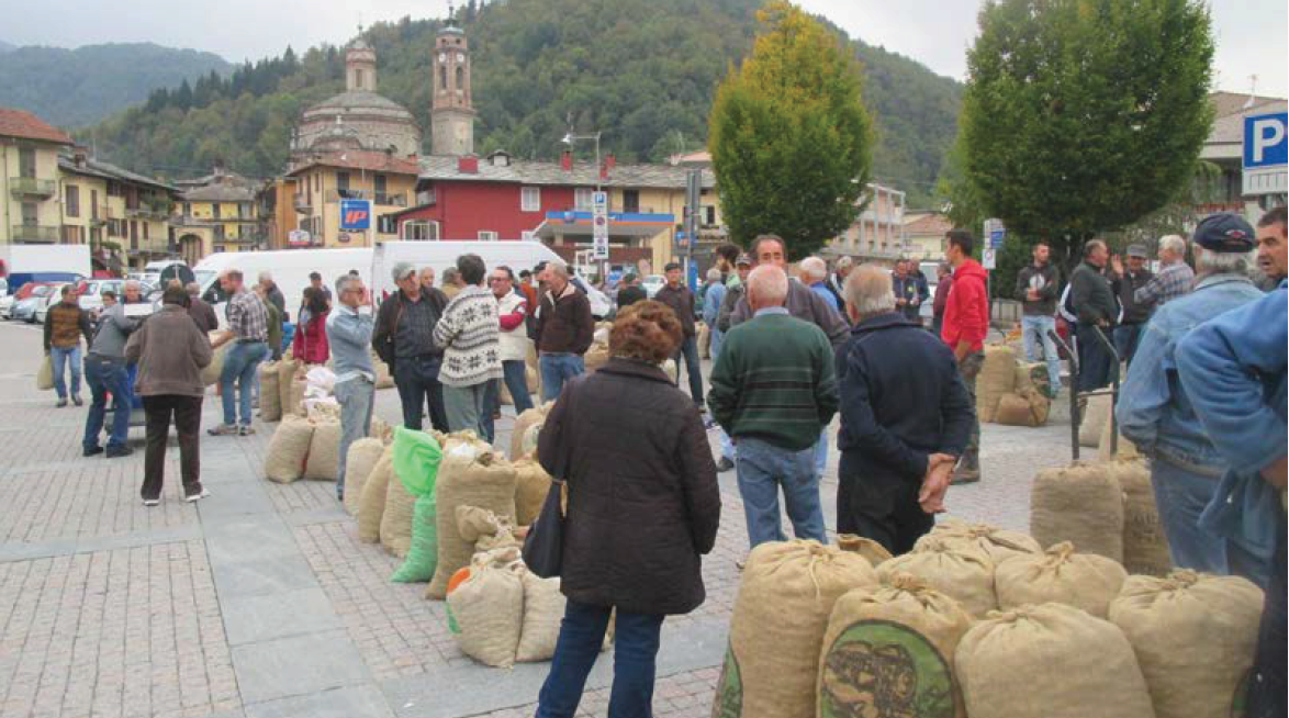 VENASCA | La rinascita del Polo mercatale