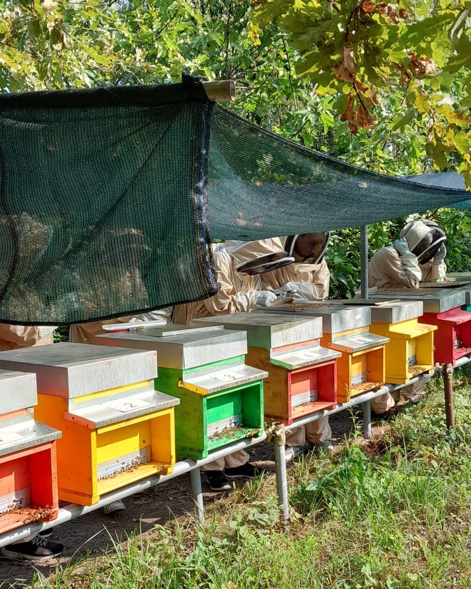 Oasi Naturalistica Laghetti Di Tolcinasco