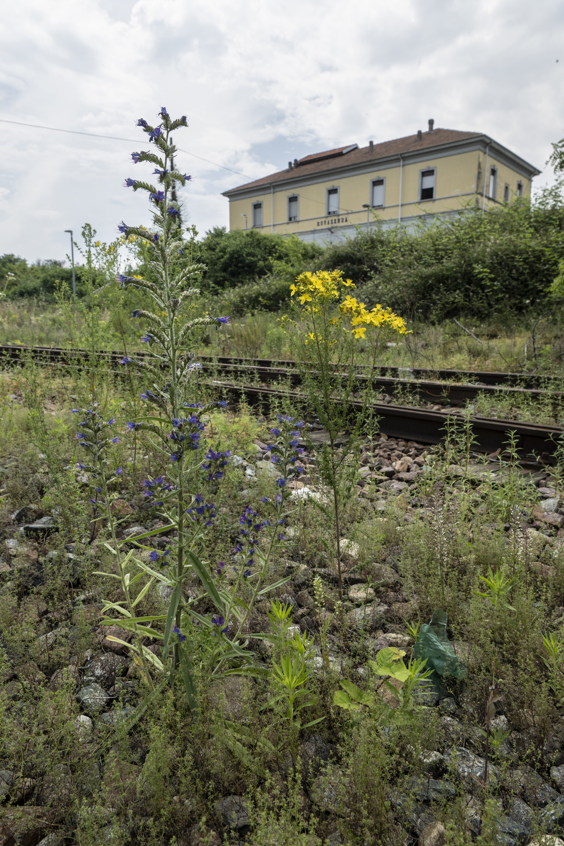 L'ALTA Ex-stazione di Rovasenda