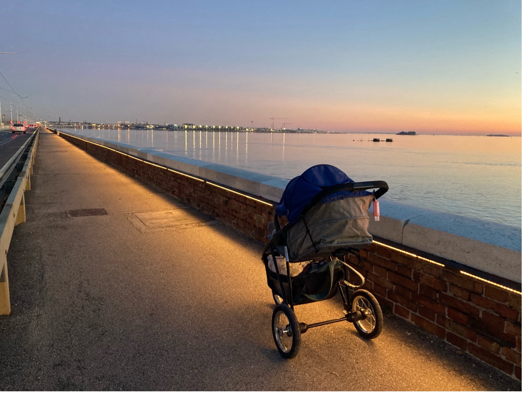 Living in Venice: A Local's Perspective in a Tourist's Paradise