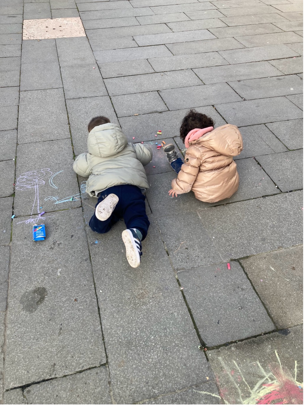 Living in Venice: A Local's Perspective in a Tourist's Paradise