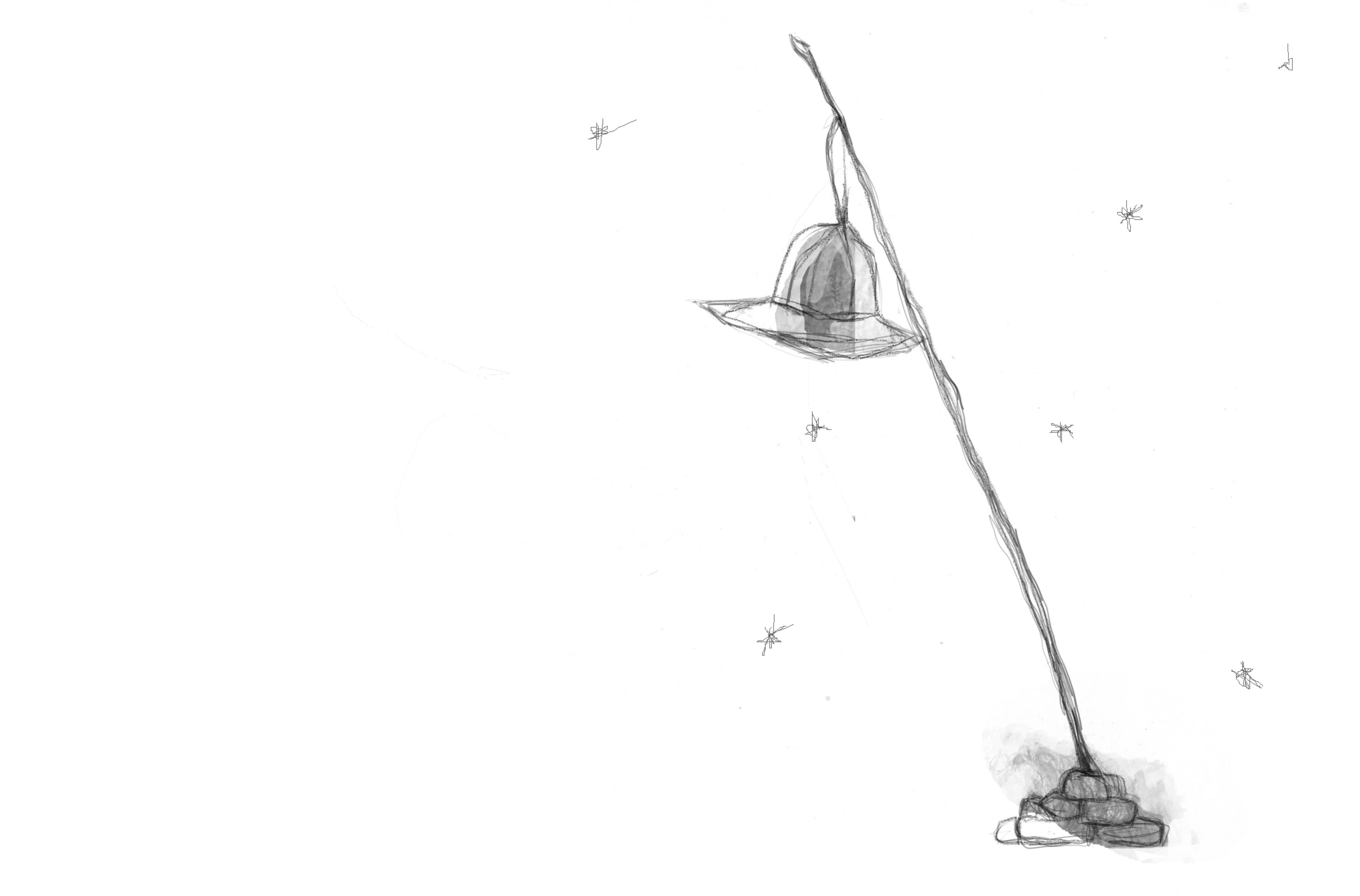 Illustrazioni  IperBosco 