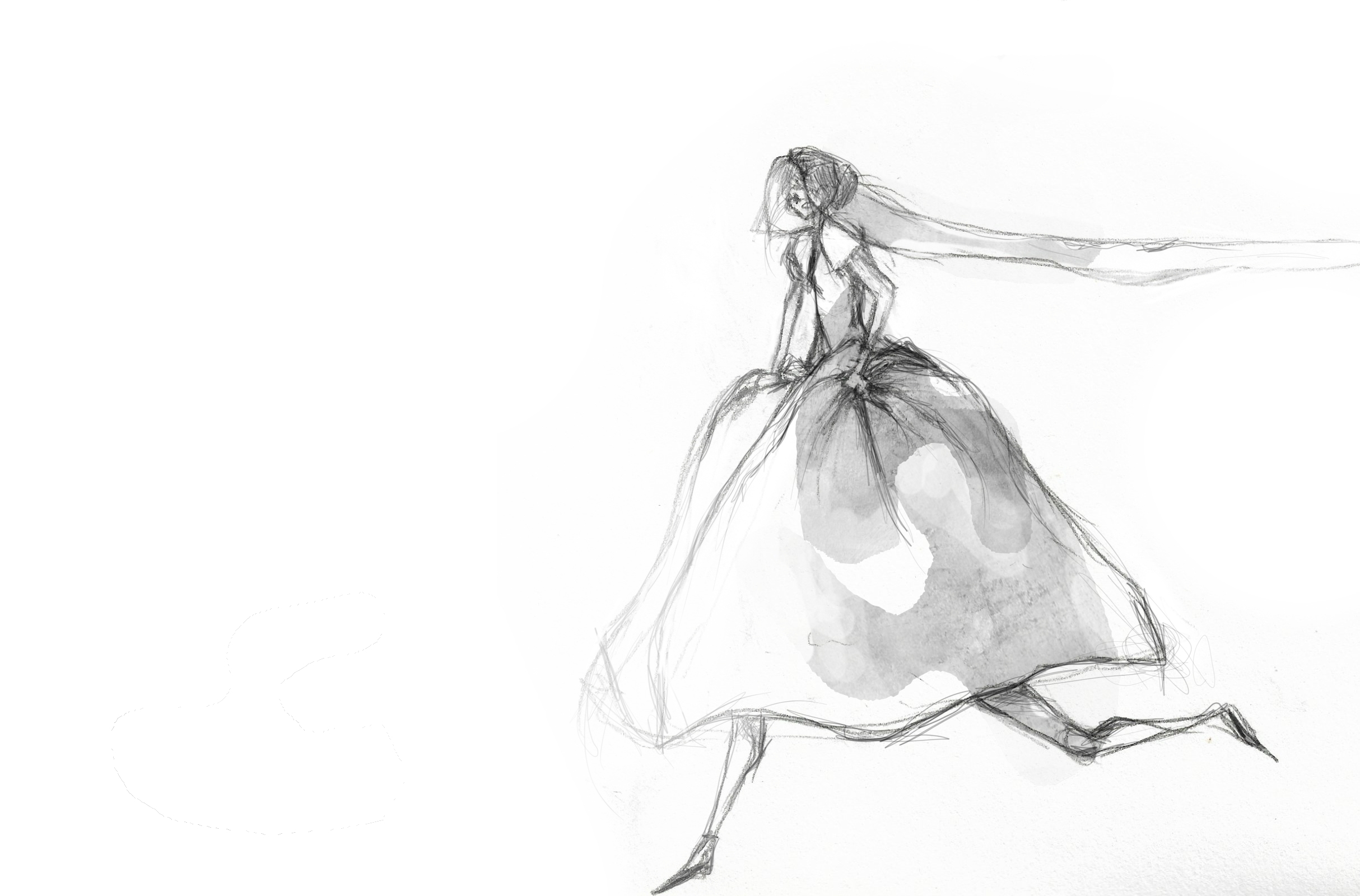 Illustrazioni  IperBosco 