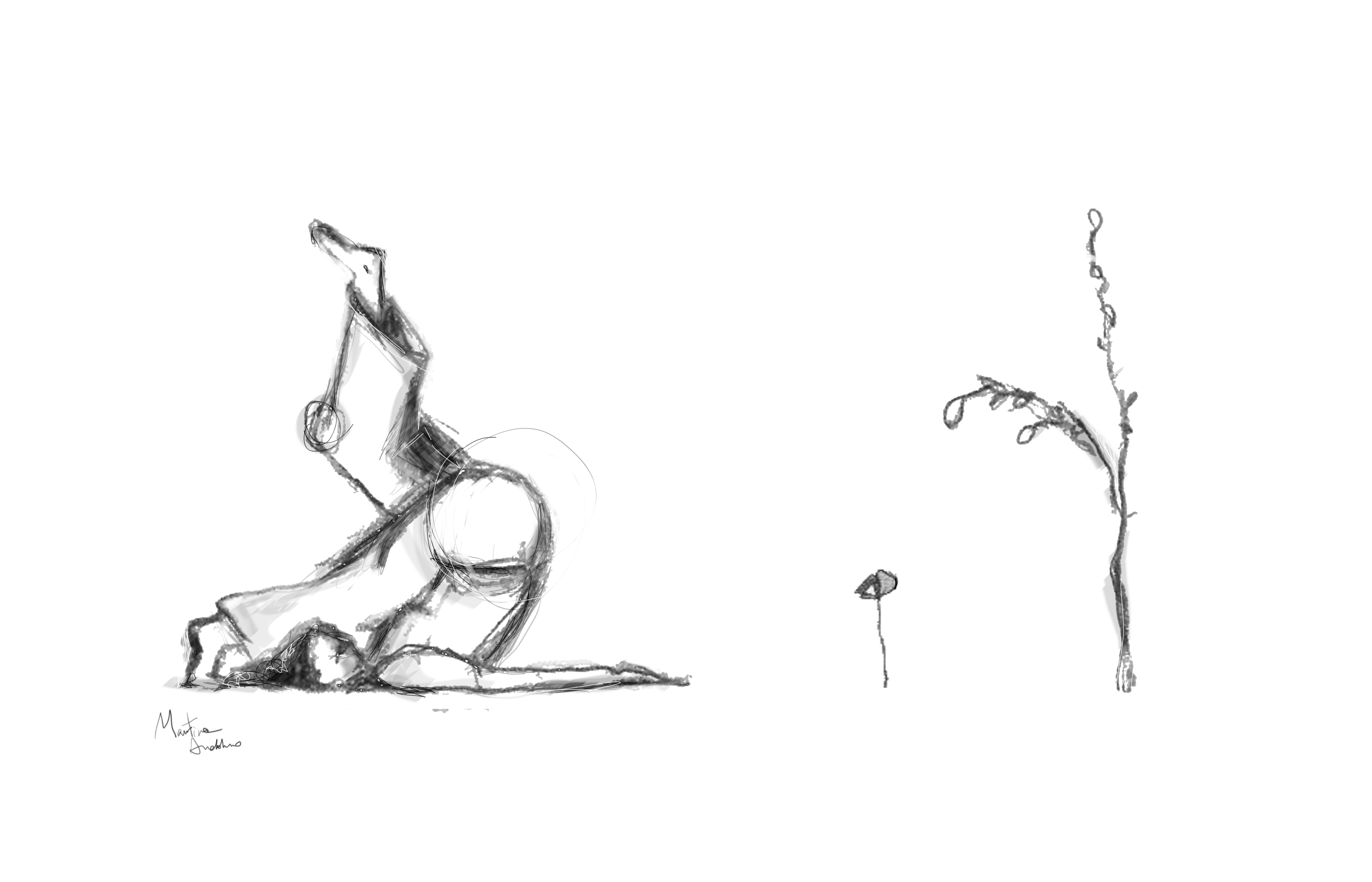 Illustrazioni  IperBosco 