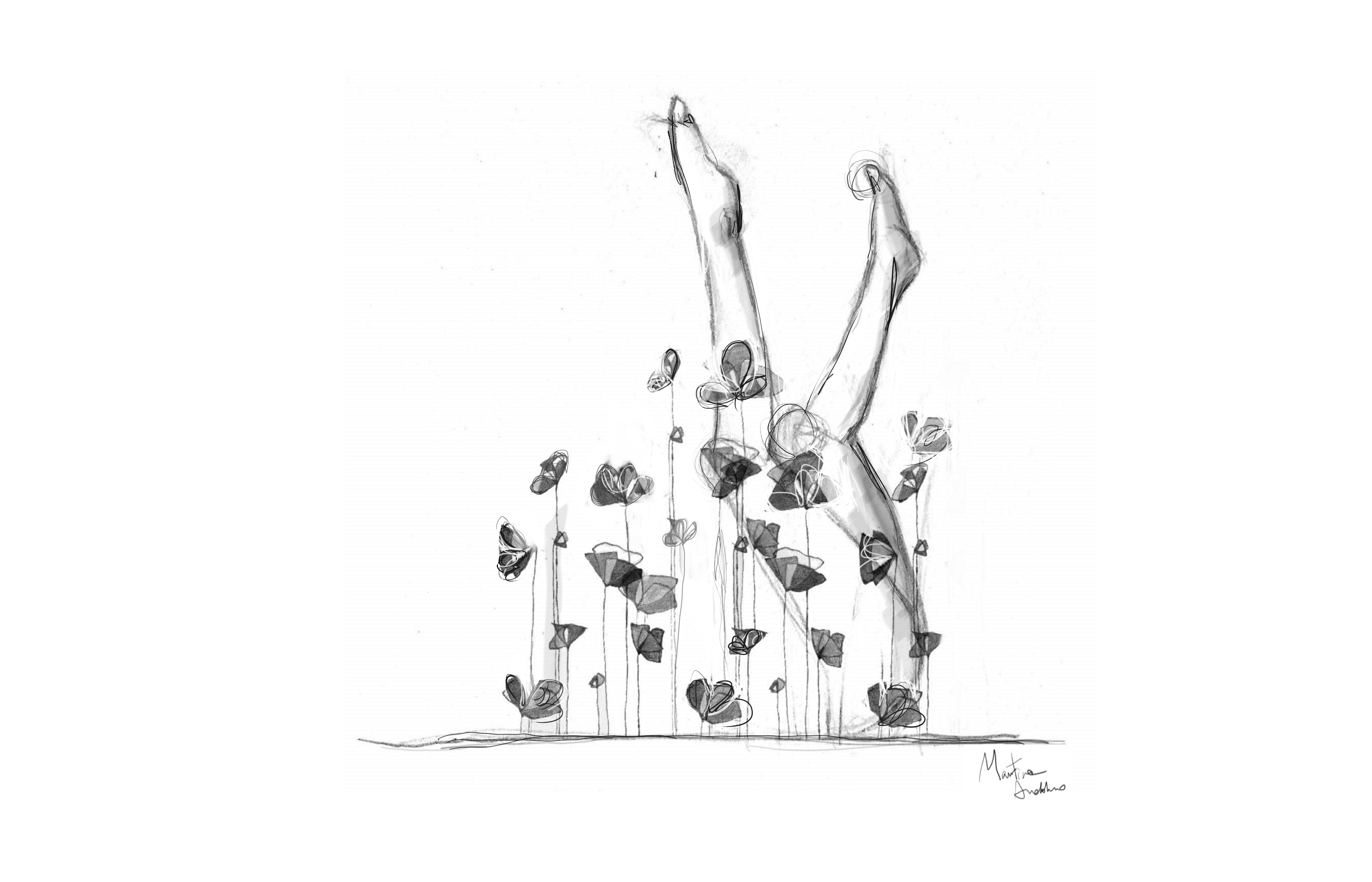 Illustrazioni  IperBosco 