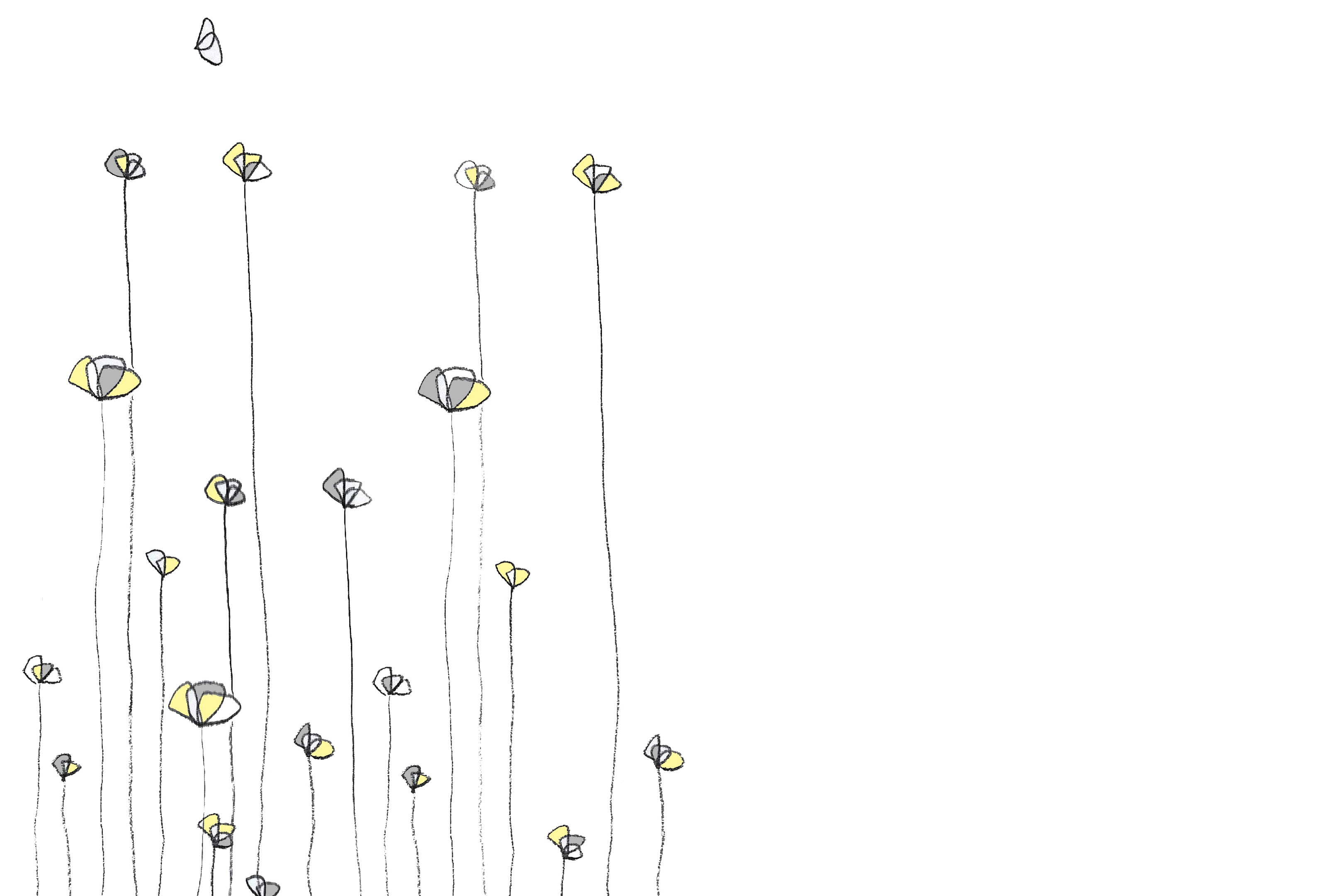 Illustrazioni  IperBosco 