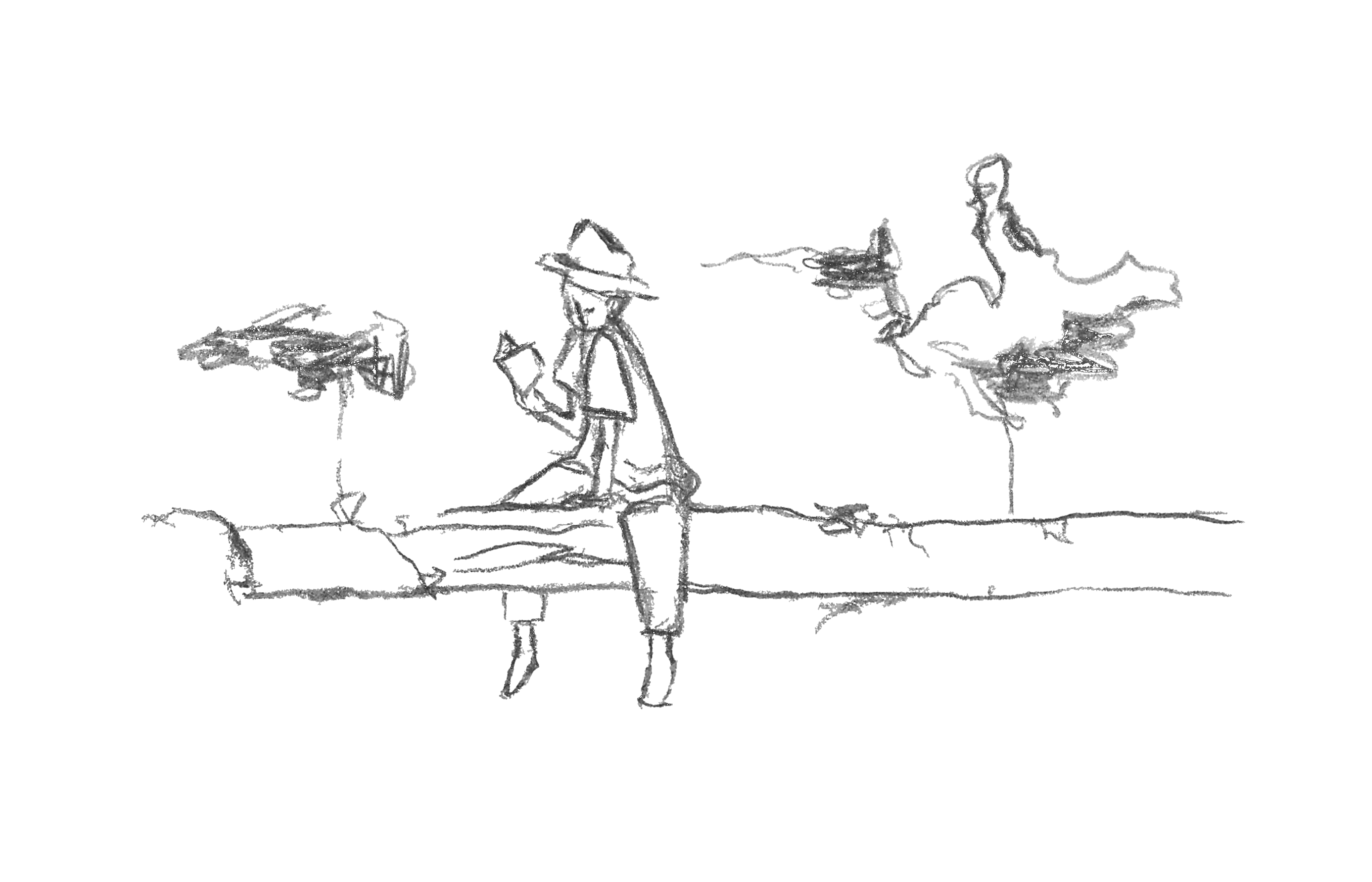 Illustrazioni  IperBosco 