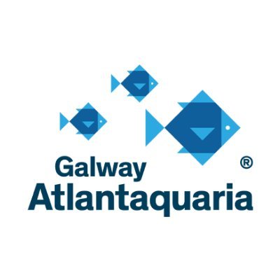 &nbsp;Galway Bay is Calling&nbsp;(GBiC)