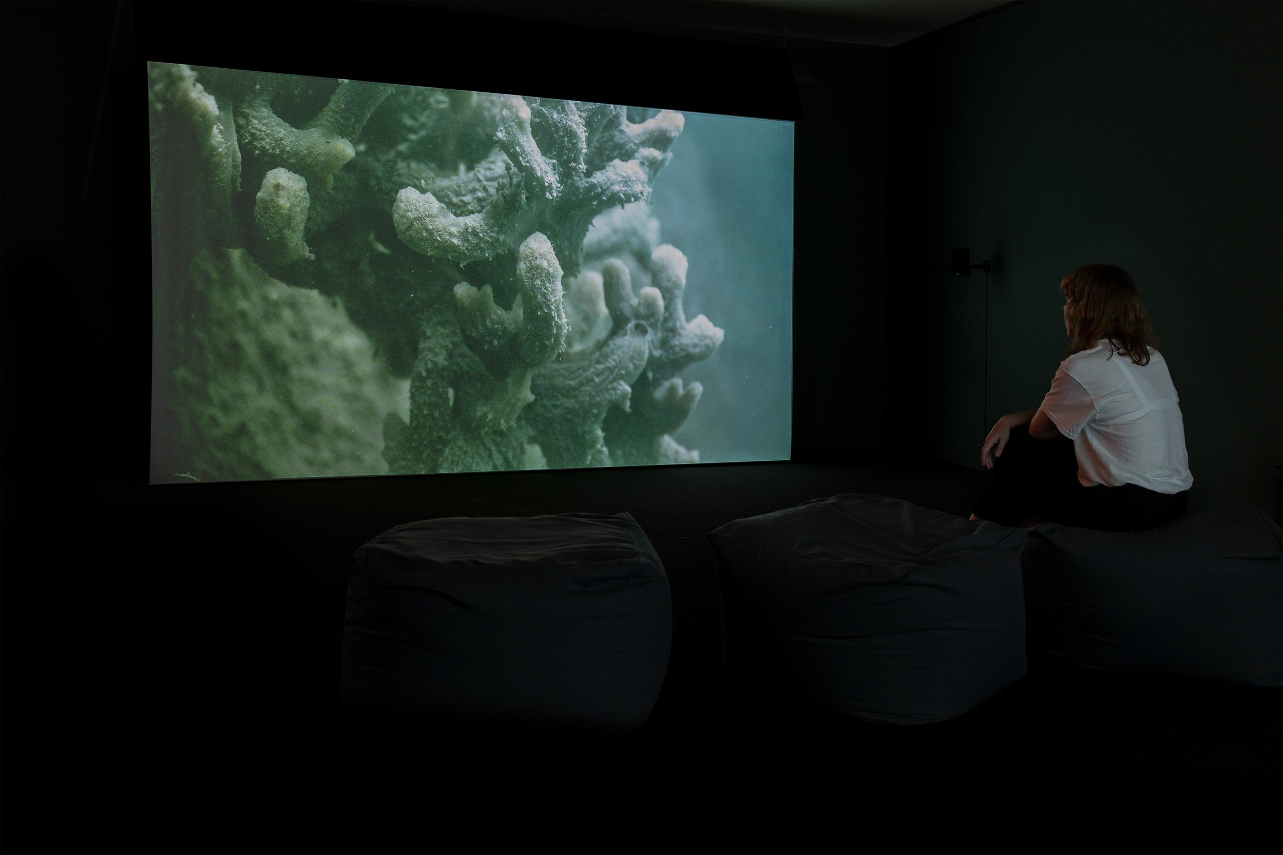 We Marry You, O Sea, as a Sign of True and Perpetual Dominion