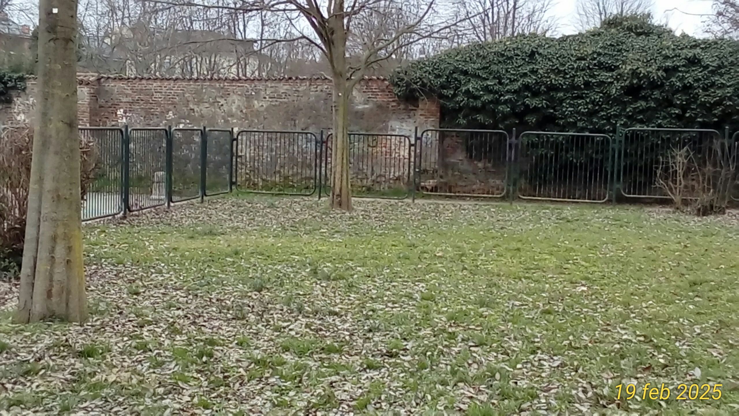 Area Caselli - Parco P.A.T.CH.