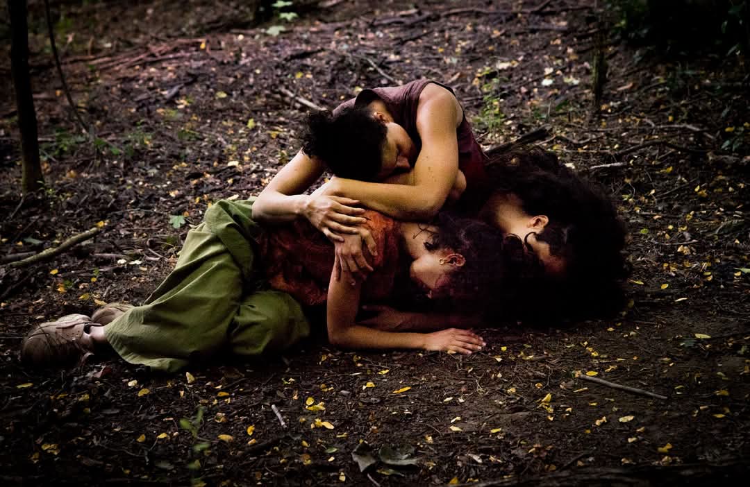 IberBosco Santa Fede