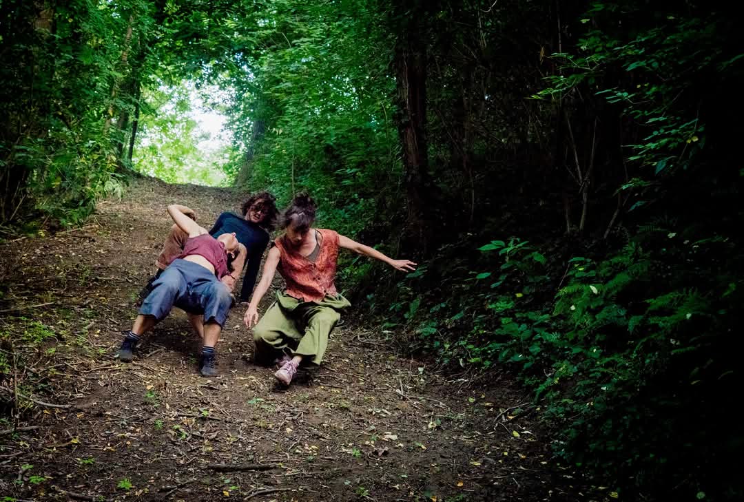 IberBosco Santa Fede