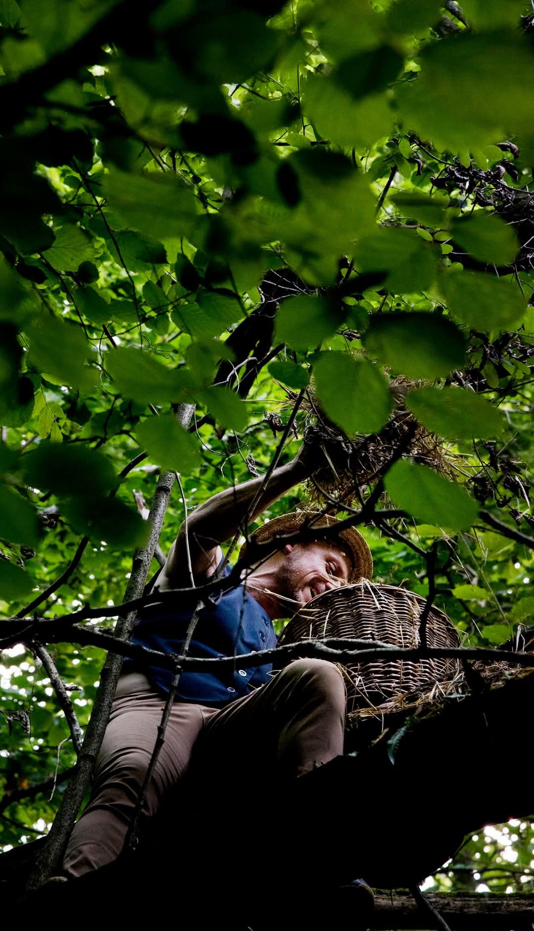 IberBosco Santa Fede