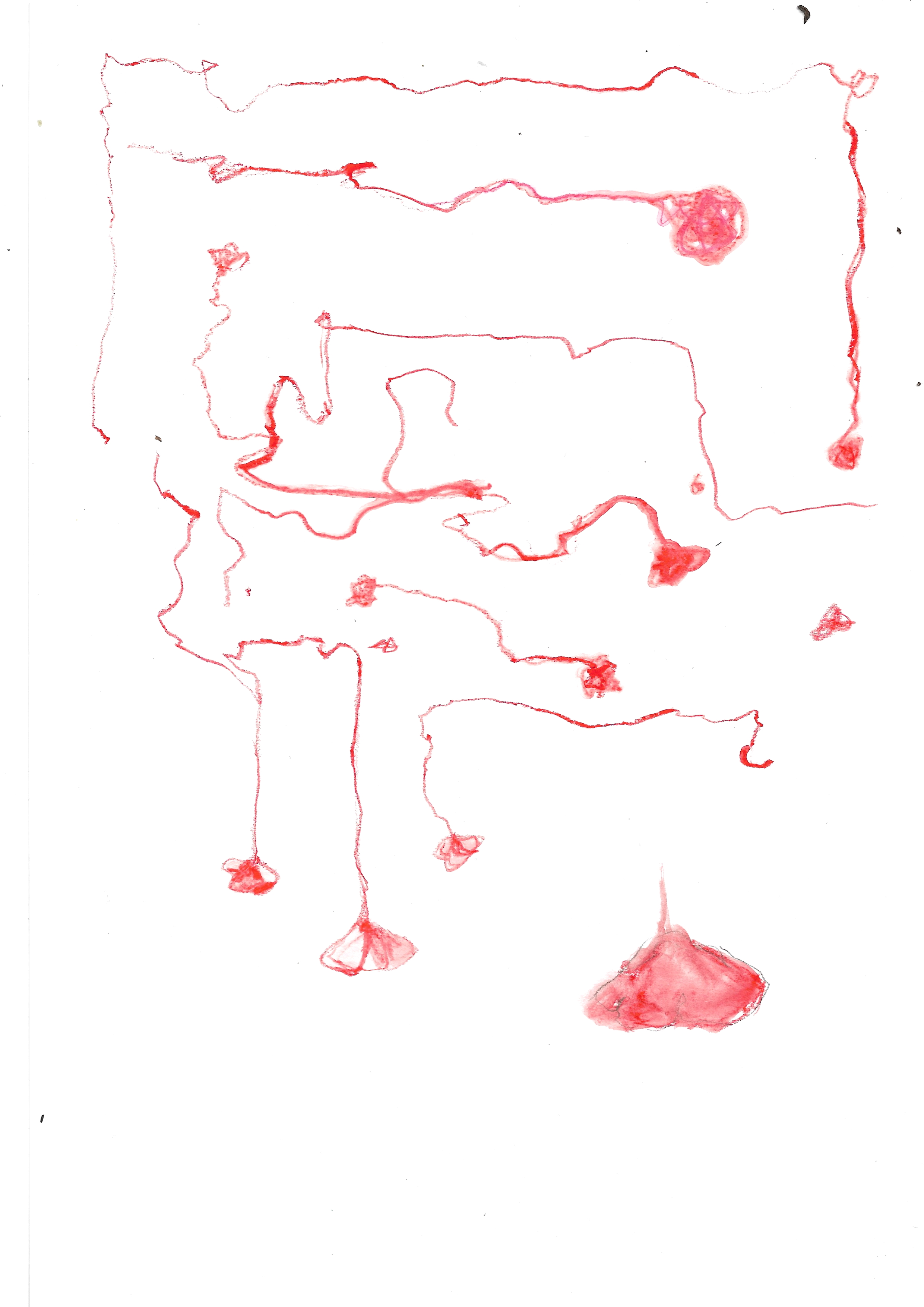 Illustrazioni  IperBosco 