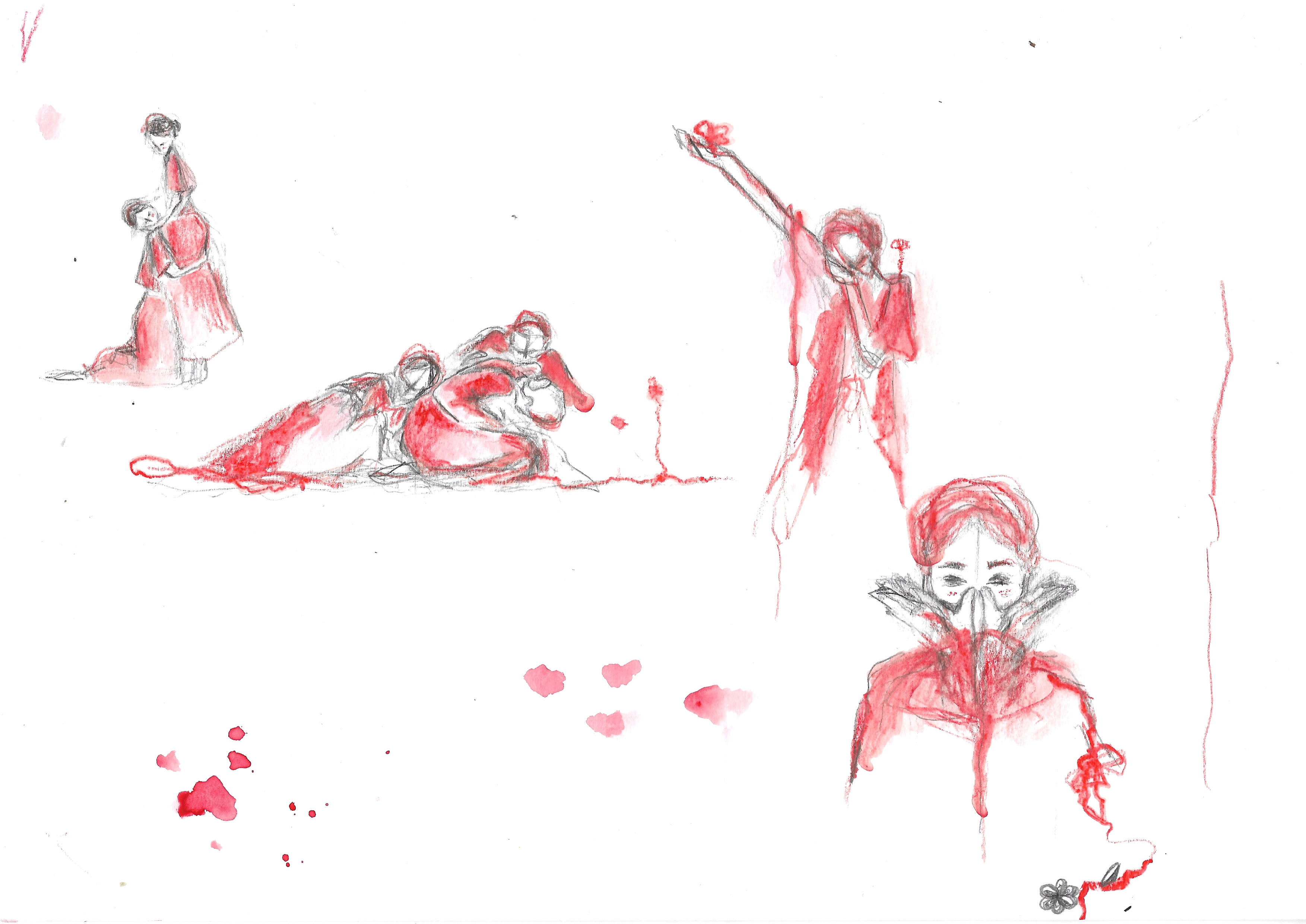 Illustrazioni  IperBosco 