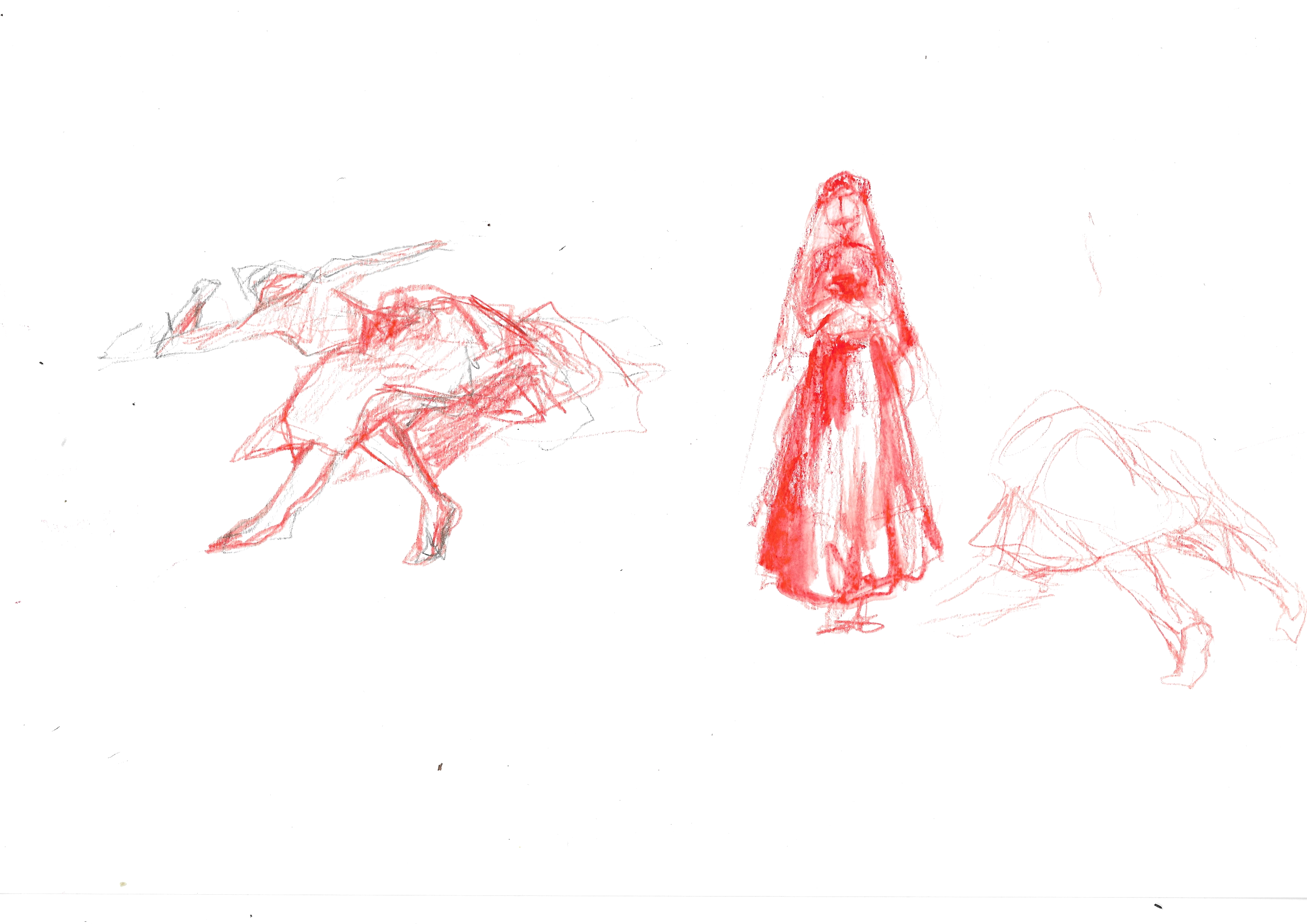 Illustrazioni  IperBosco 