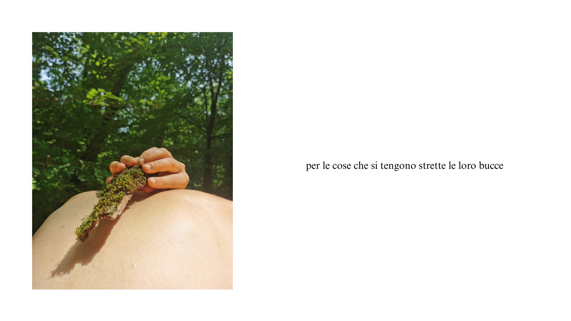 Il letargo e la luna