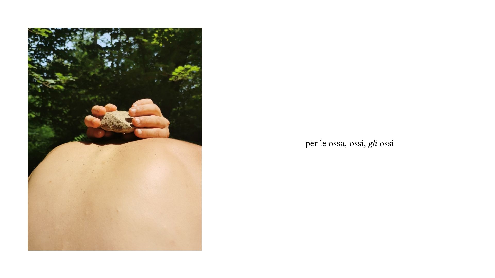 Il letargo e la luna