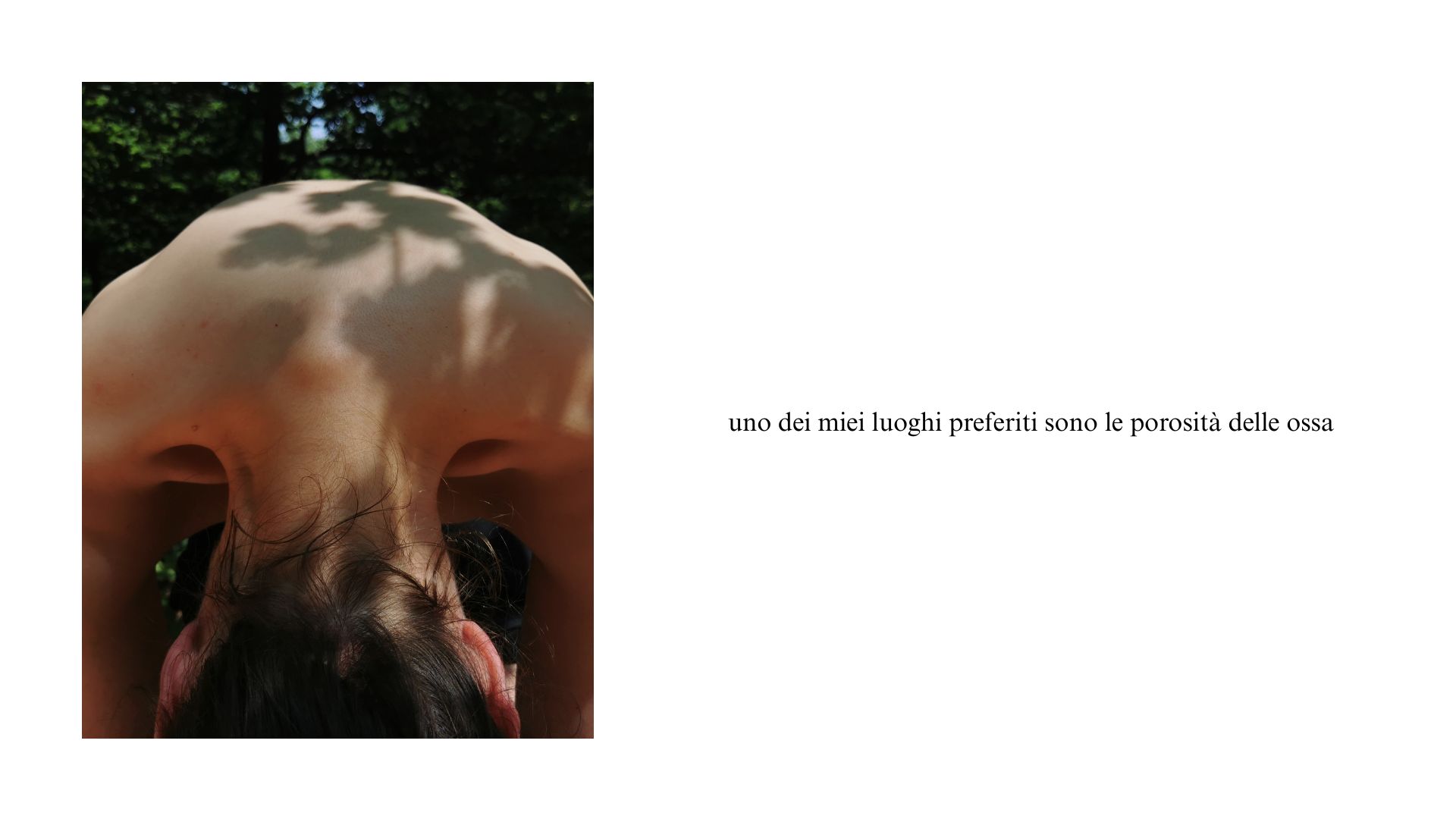 Il letargo e la luna