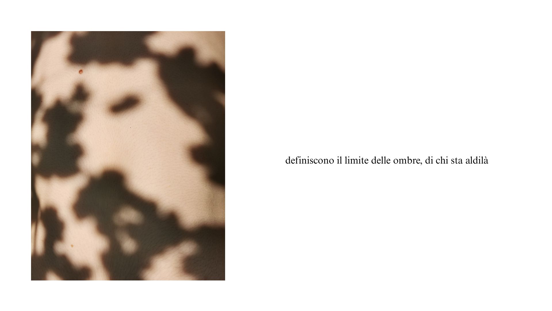 Il letargo e la luna