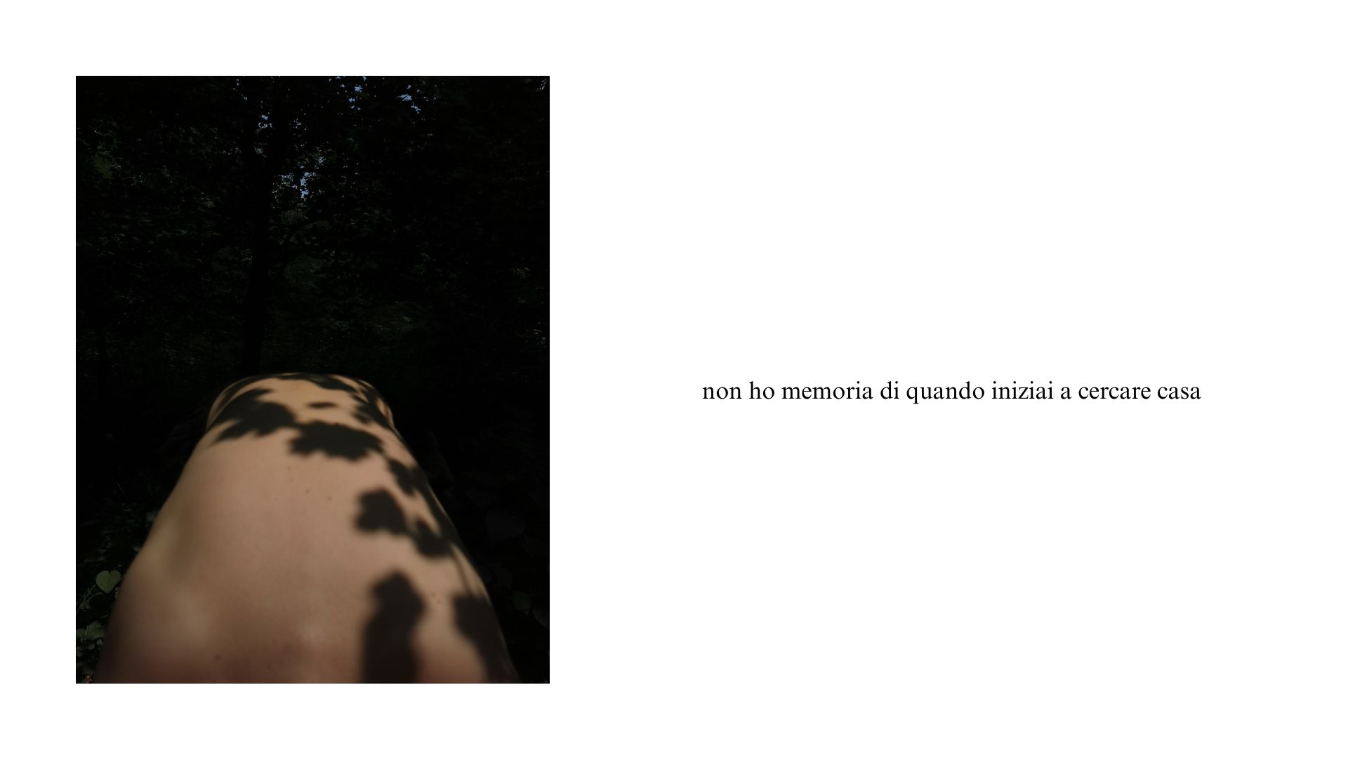 Il letargo e la luna