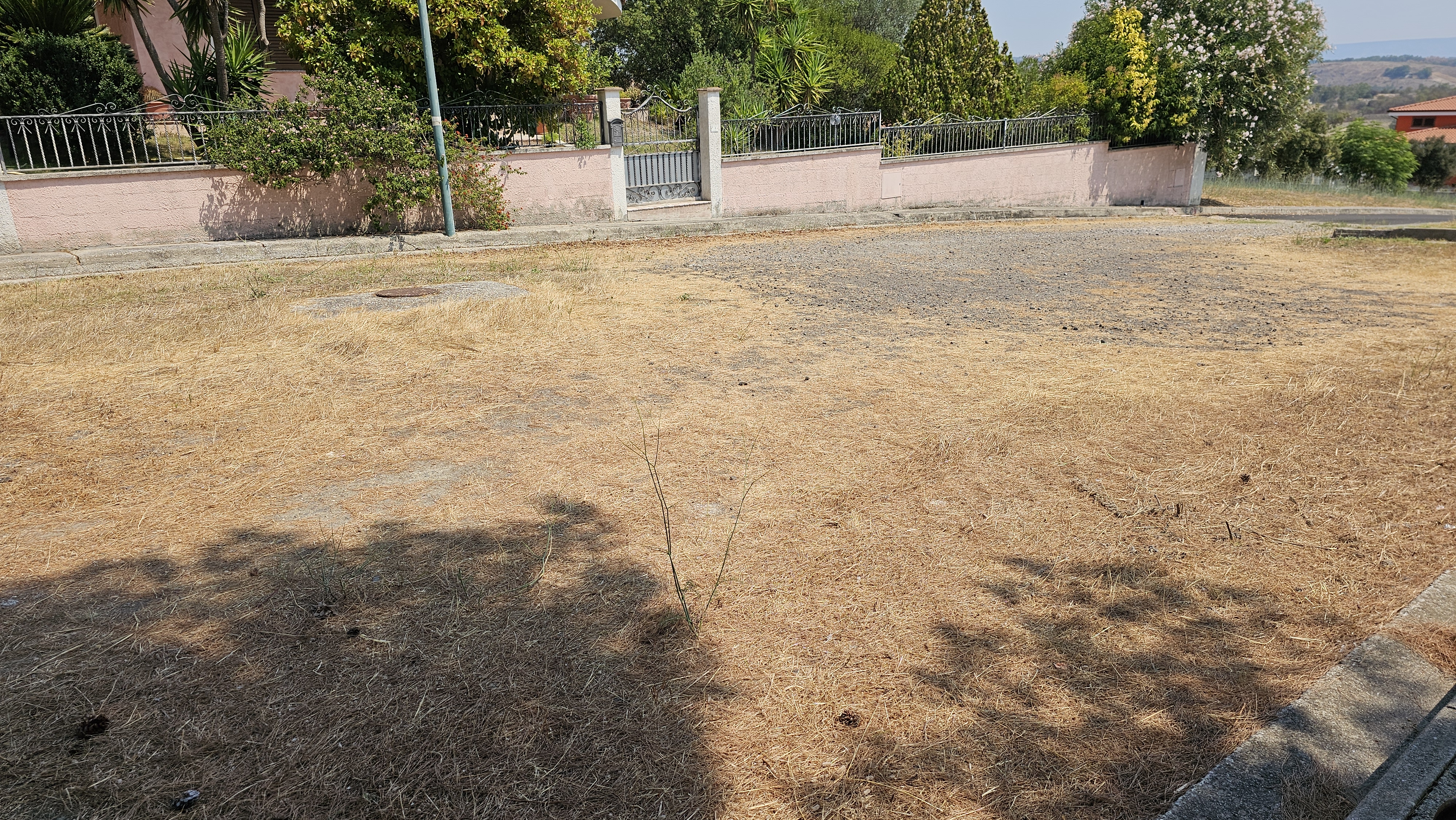 Una palestra all'aperto