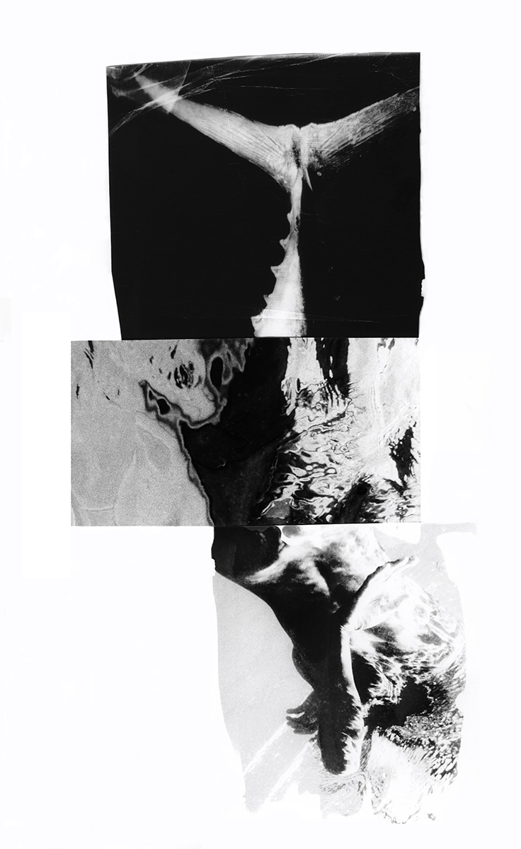 West of the Sun, East of the Moon