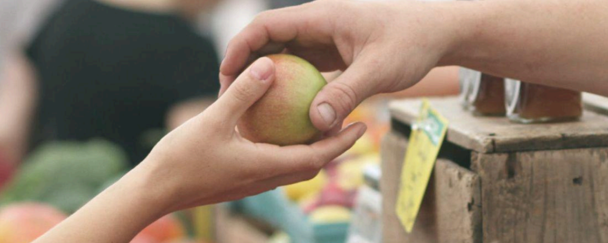 Guida per le politiche del cibo