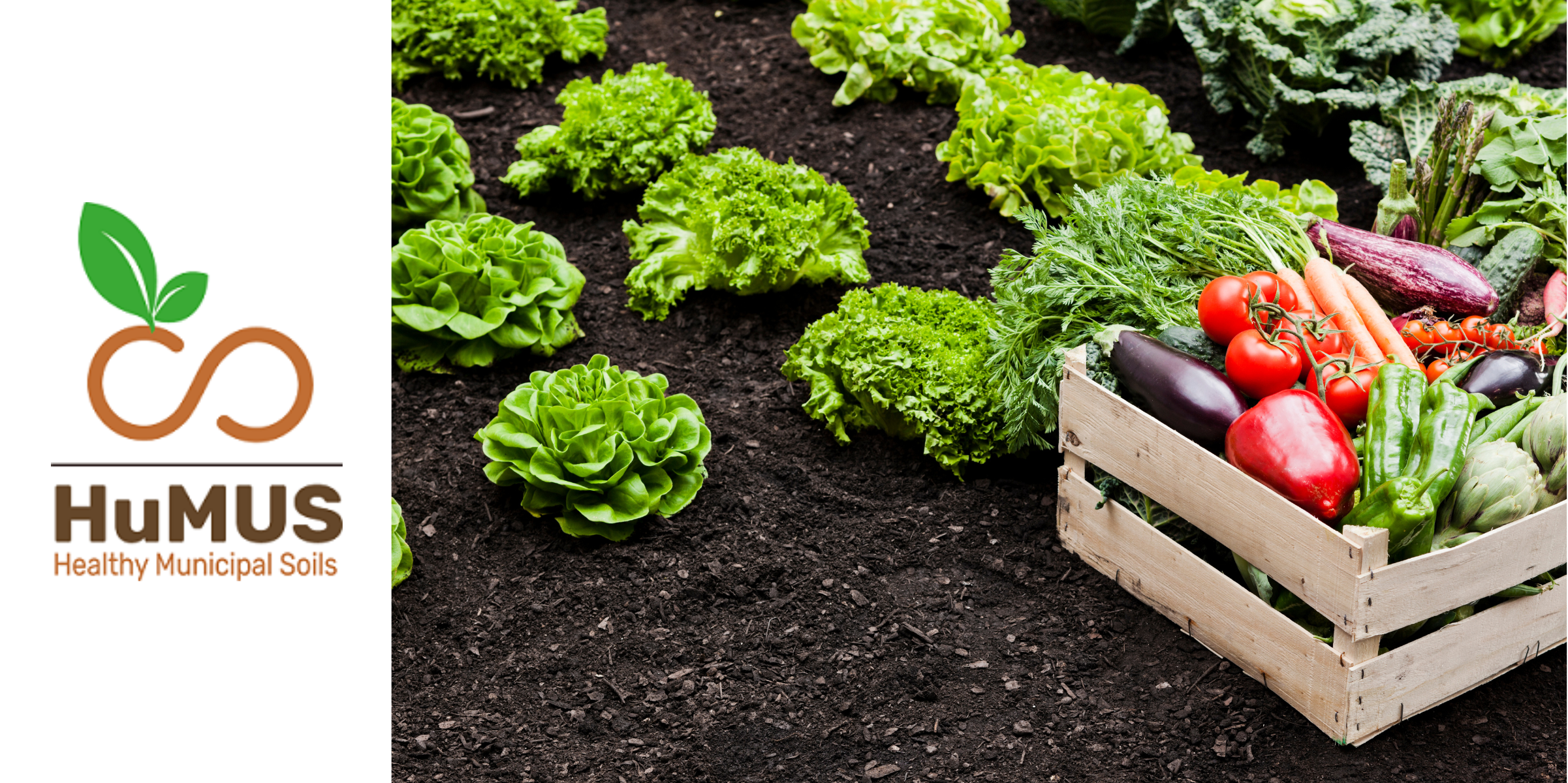 SAUR – Suoli Agricoli Urbani Rigenerati