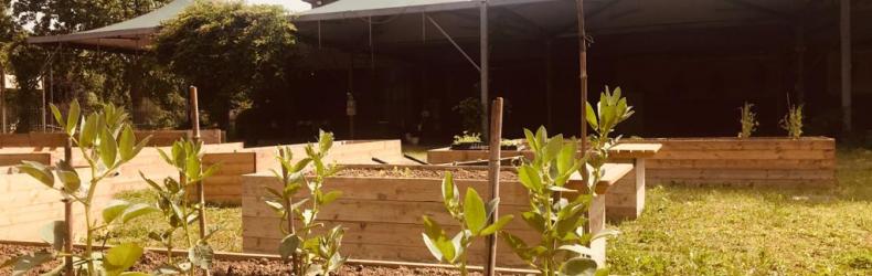 Spazio WOW – Orti di comunità