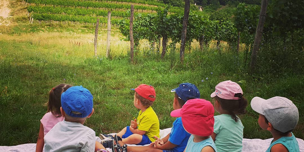 Nido/Servizio per la prima infanzia "Bosco Fatato"