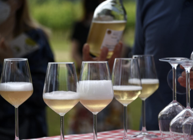 Fattoria Sociale Il Brolo