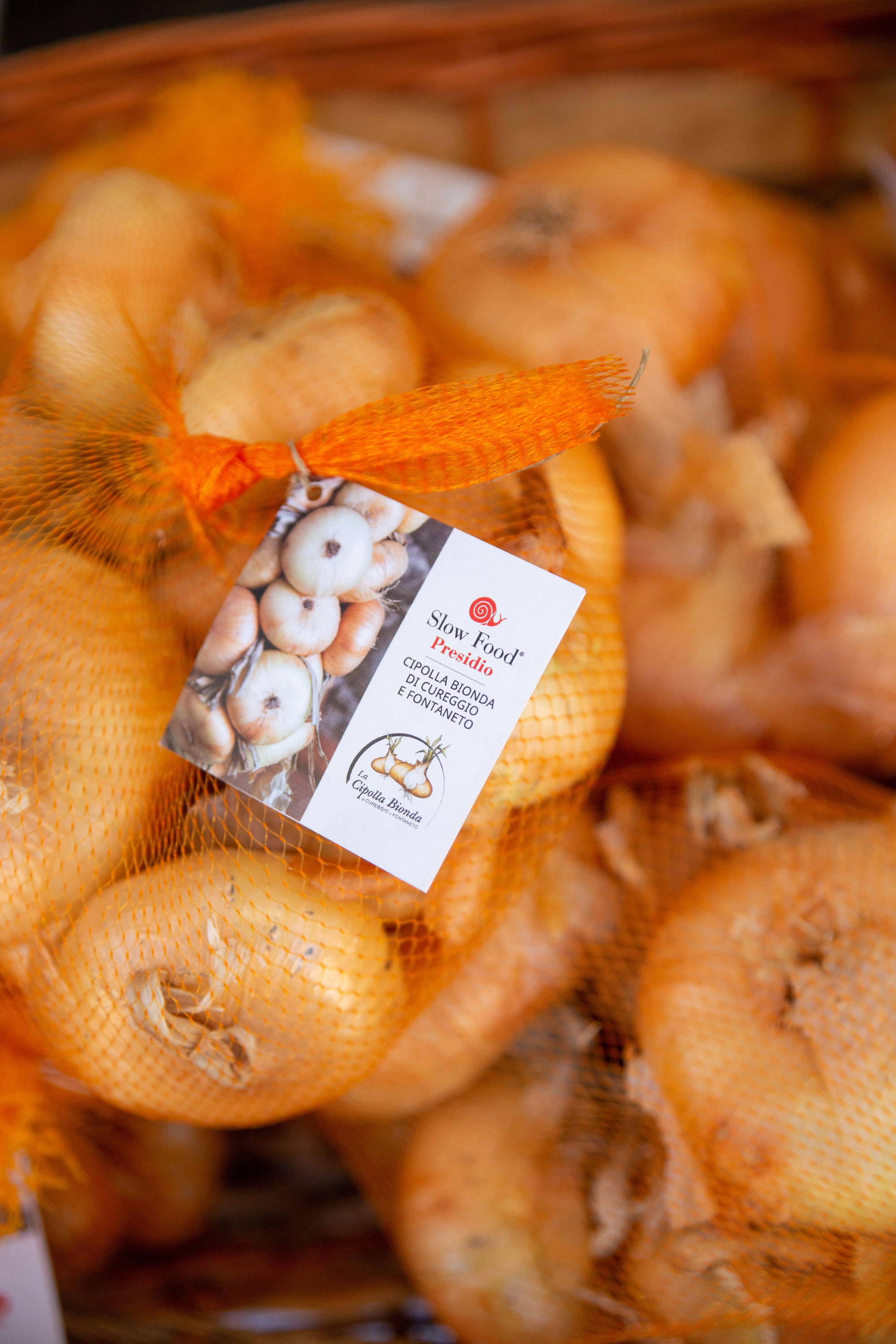 Presidio Slow Food Cipolla Bionda di Cureggio e Fontaneto 