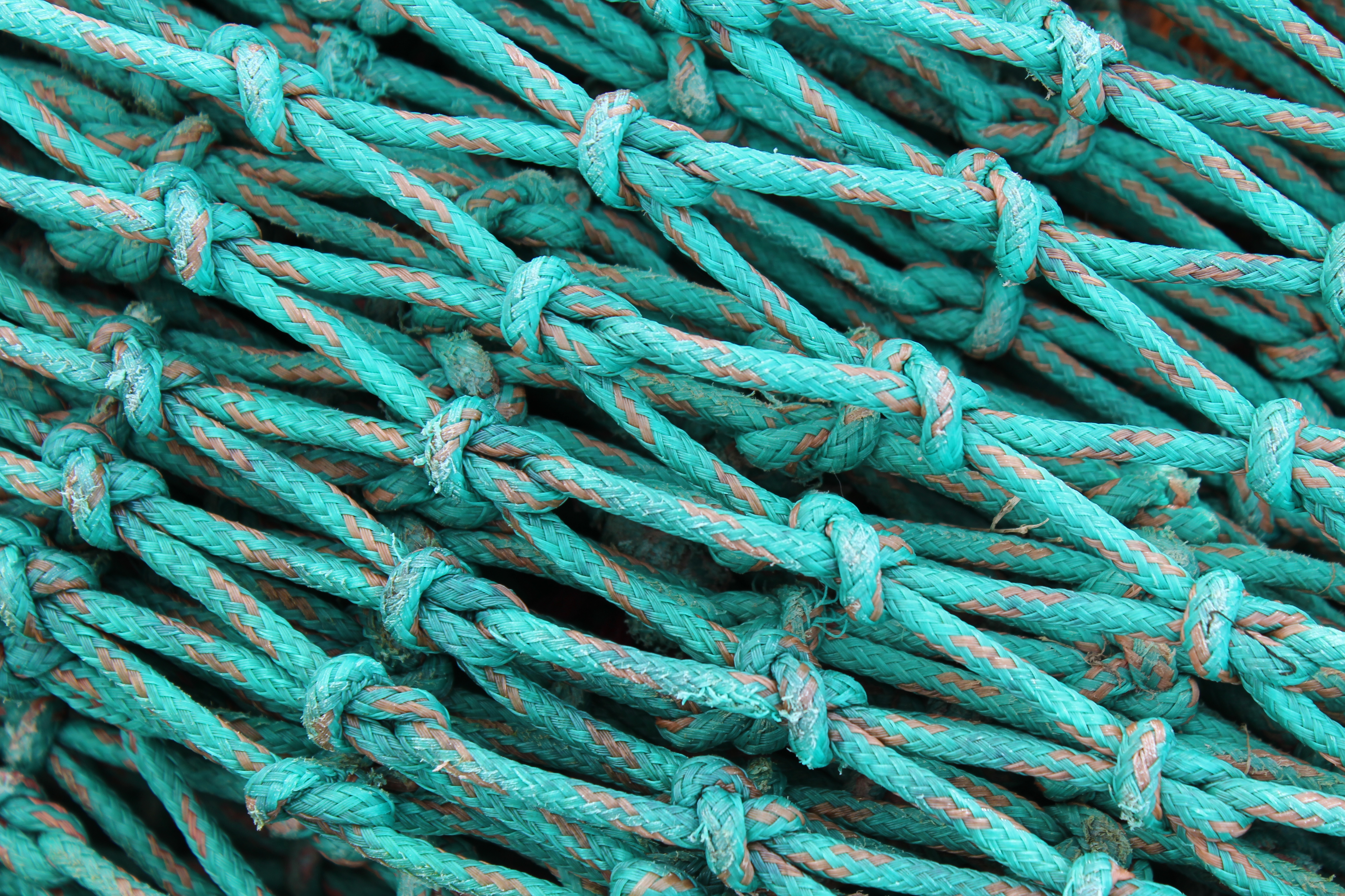 Unisciti a una comunità di pratica!