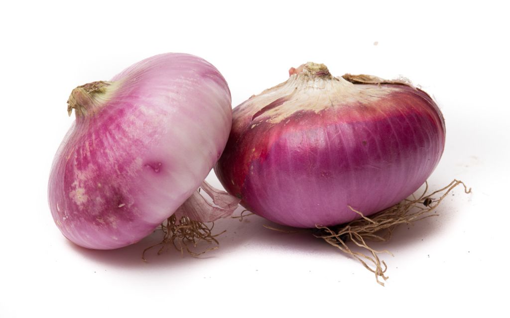  La cipolla dolce di Partanna