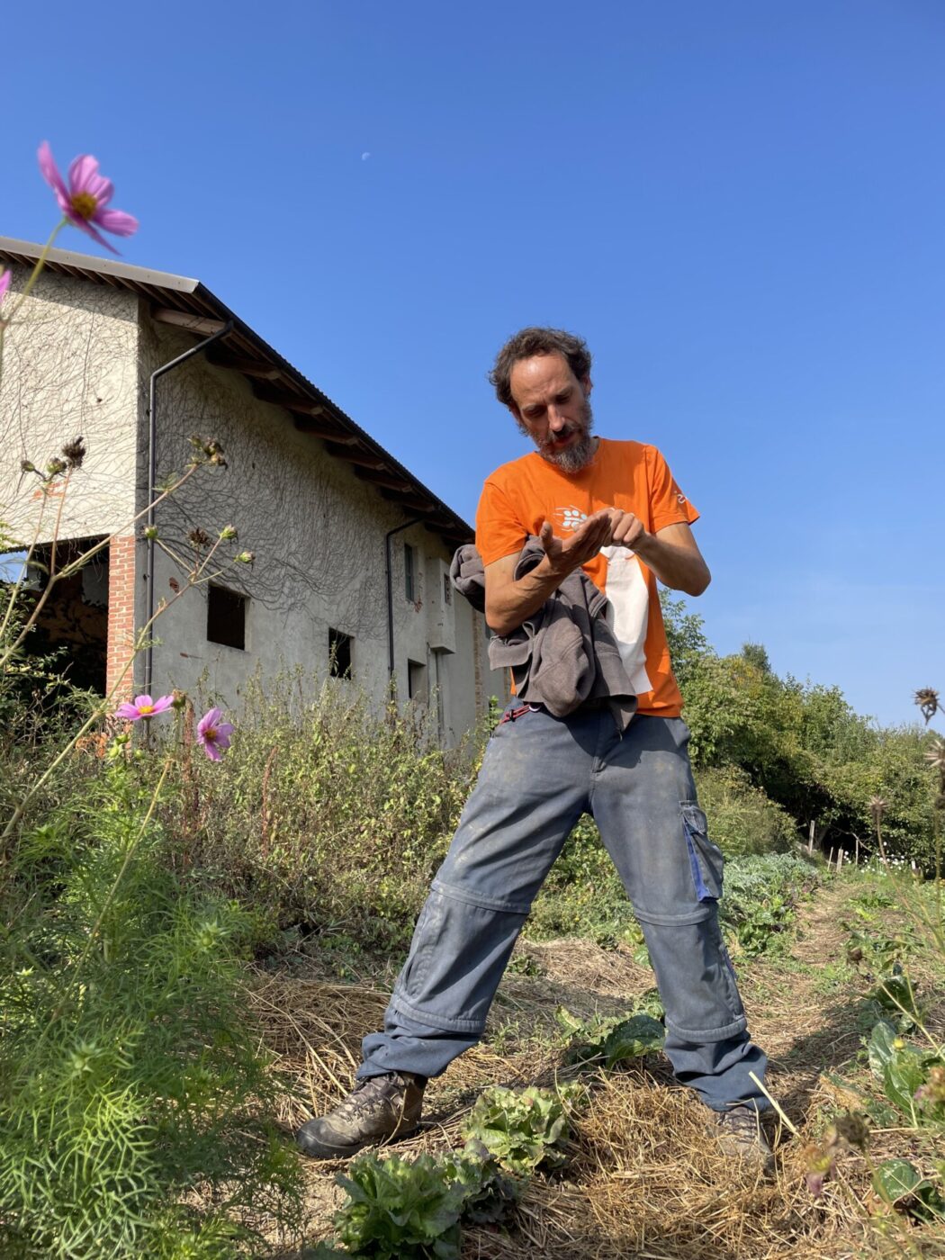 Orto e curve di livello 