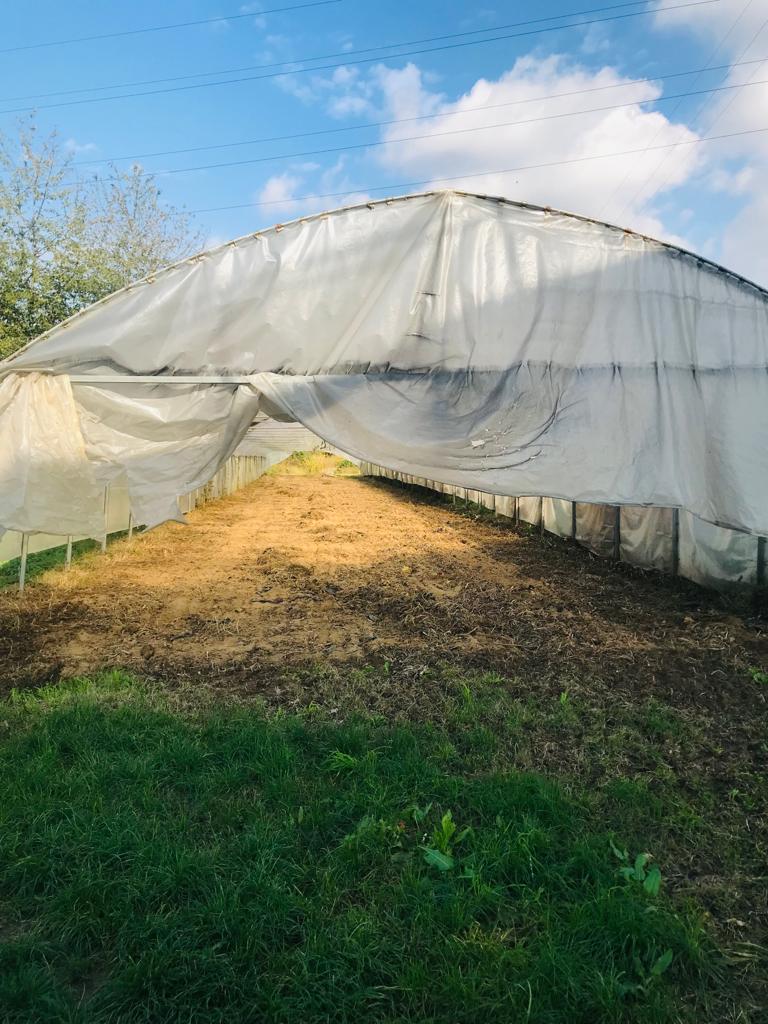 Qualità nutritive del cibo e cura del territorio

