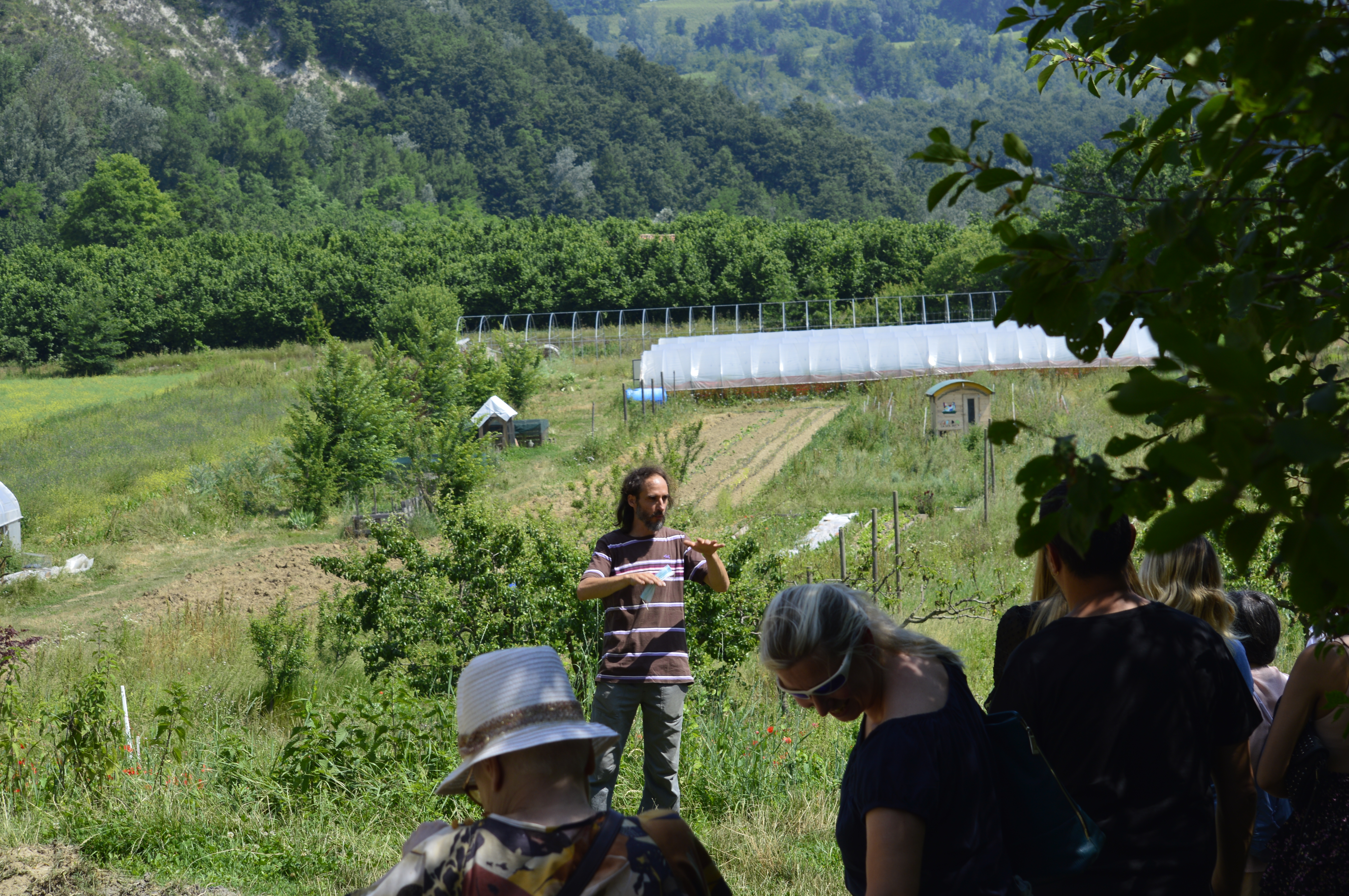 Io ho una relazione con la natura