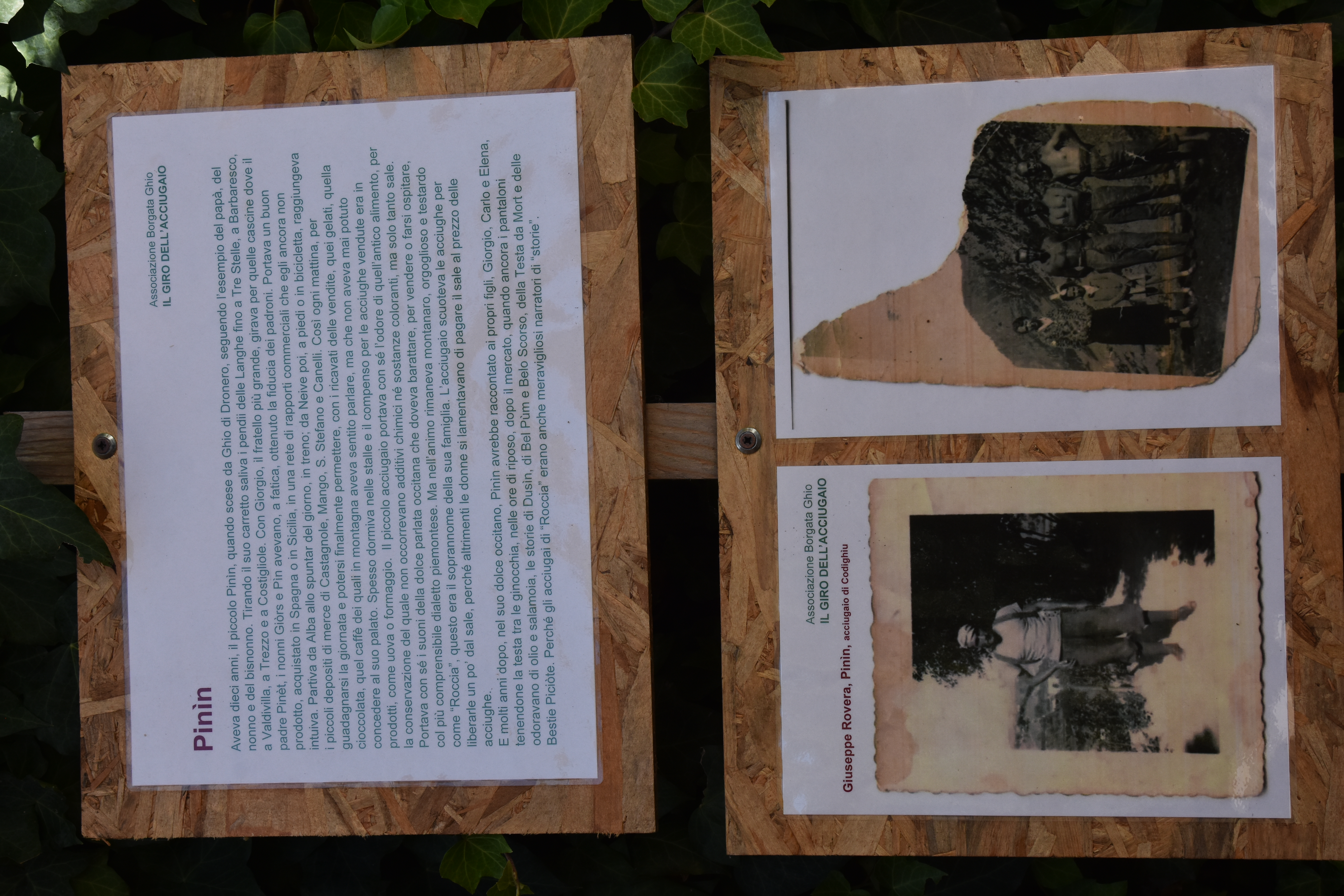 Pinìn 
Giuseppe Rovera, nato nel 1915