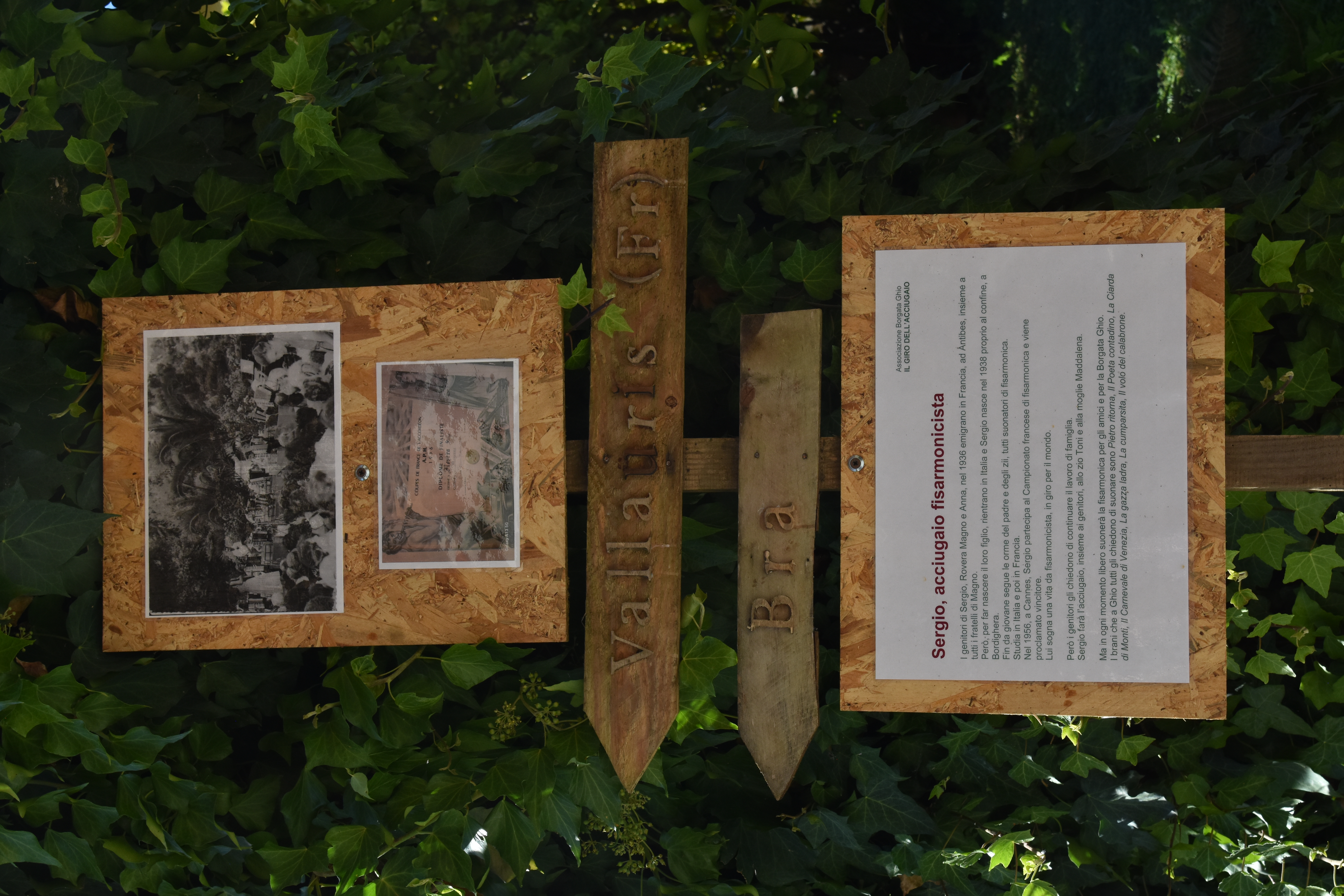 Sergio 
Sergio Rovera, nato nel 1938